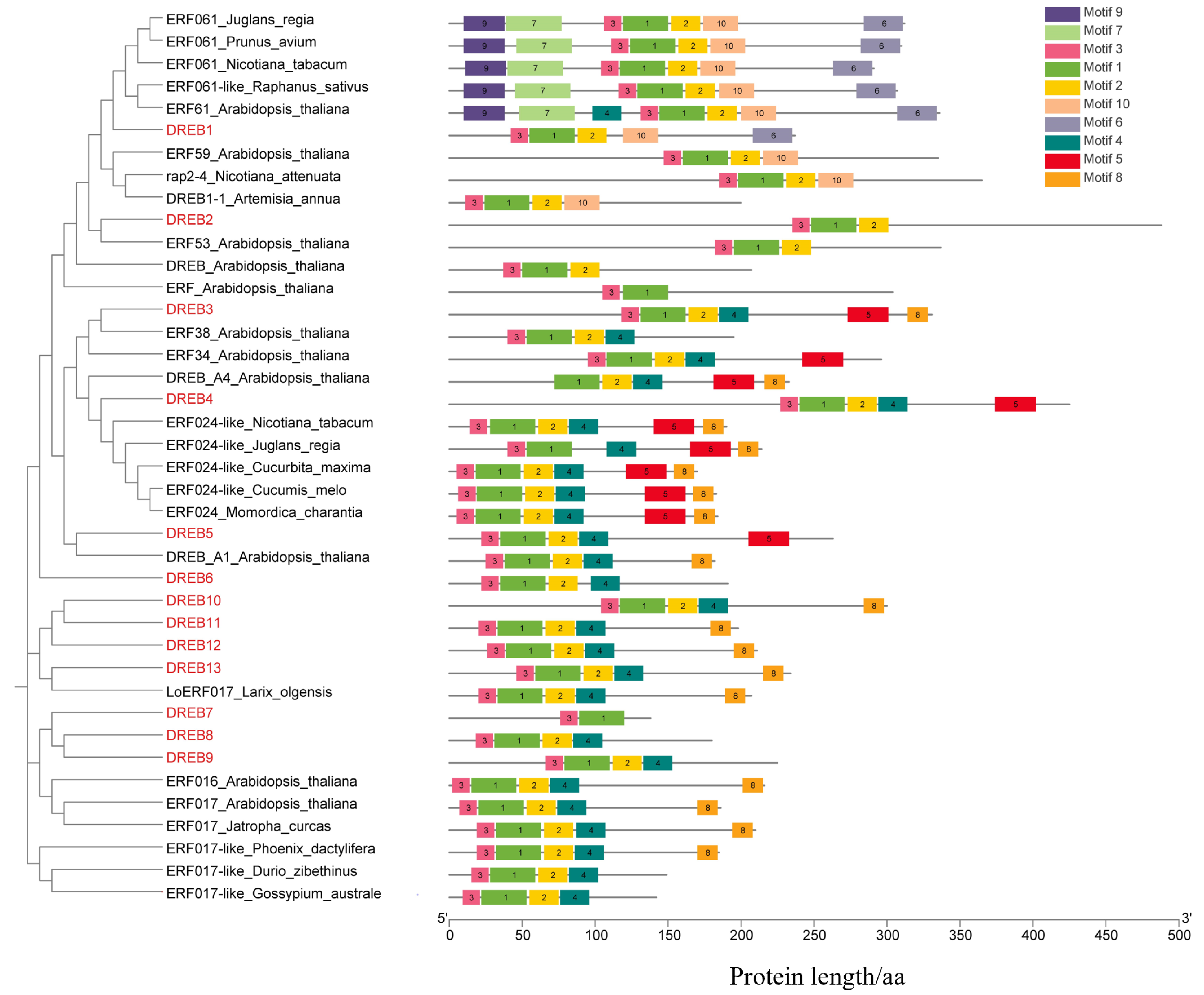 Forests 14 02300 g001 Forests 14 02300 g001