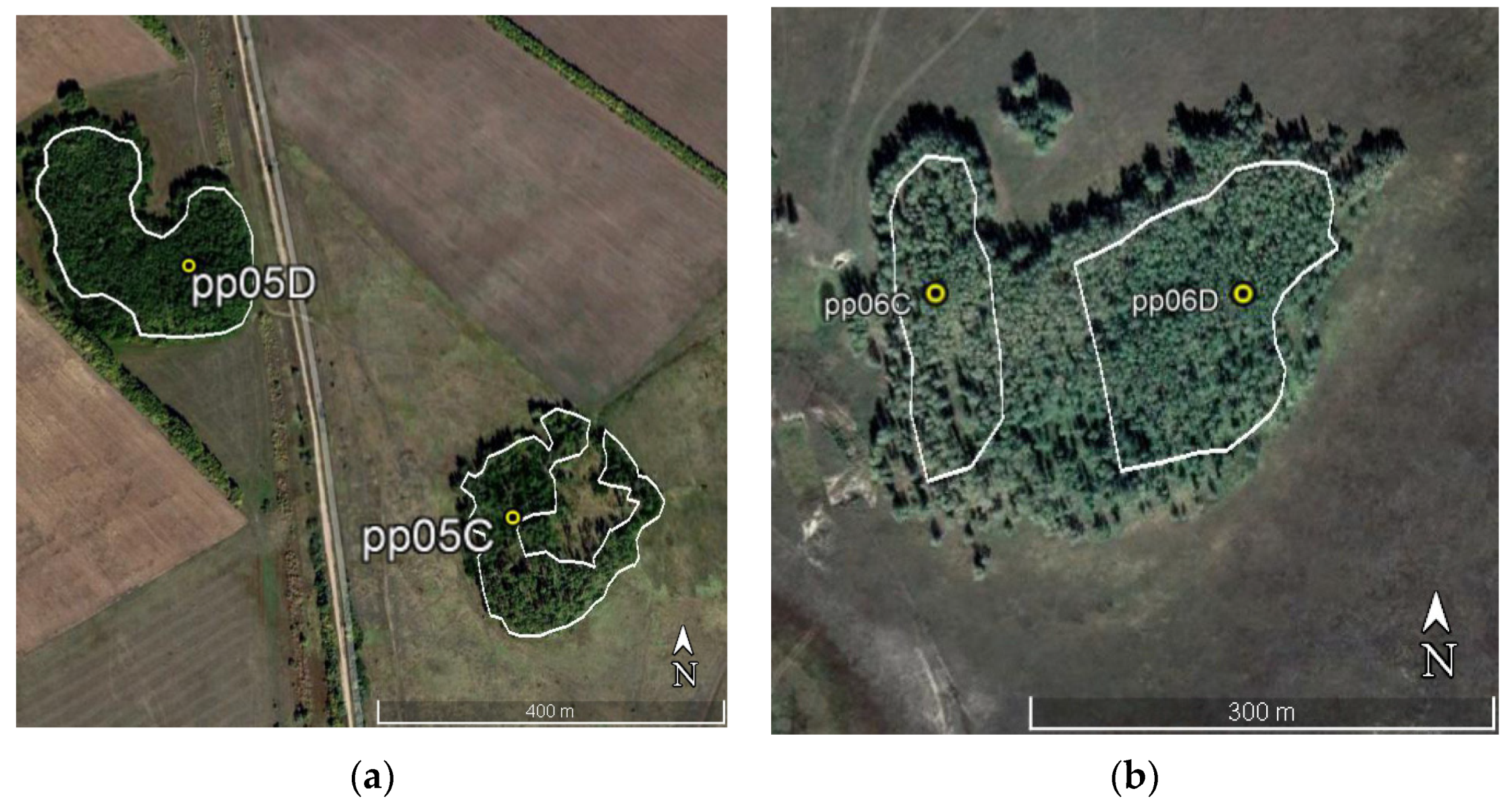 Forests 14 02308 g003