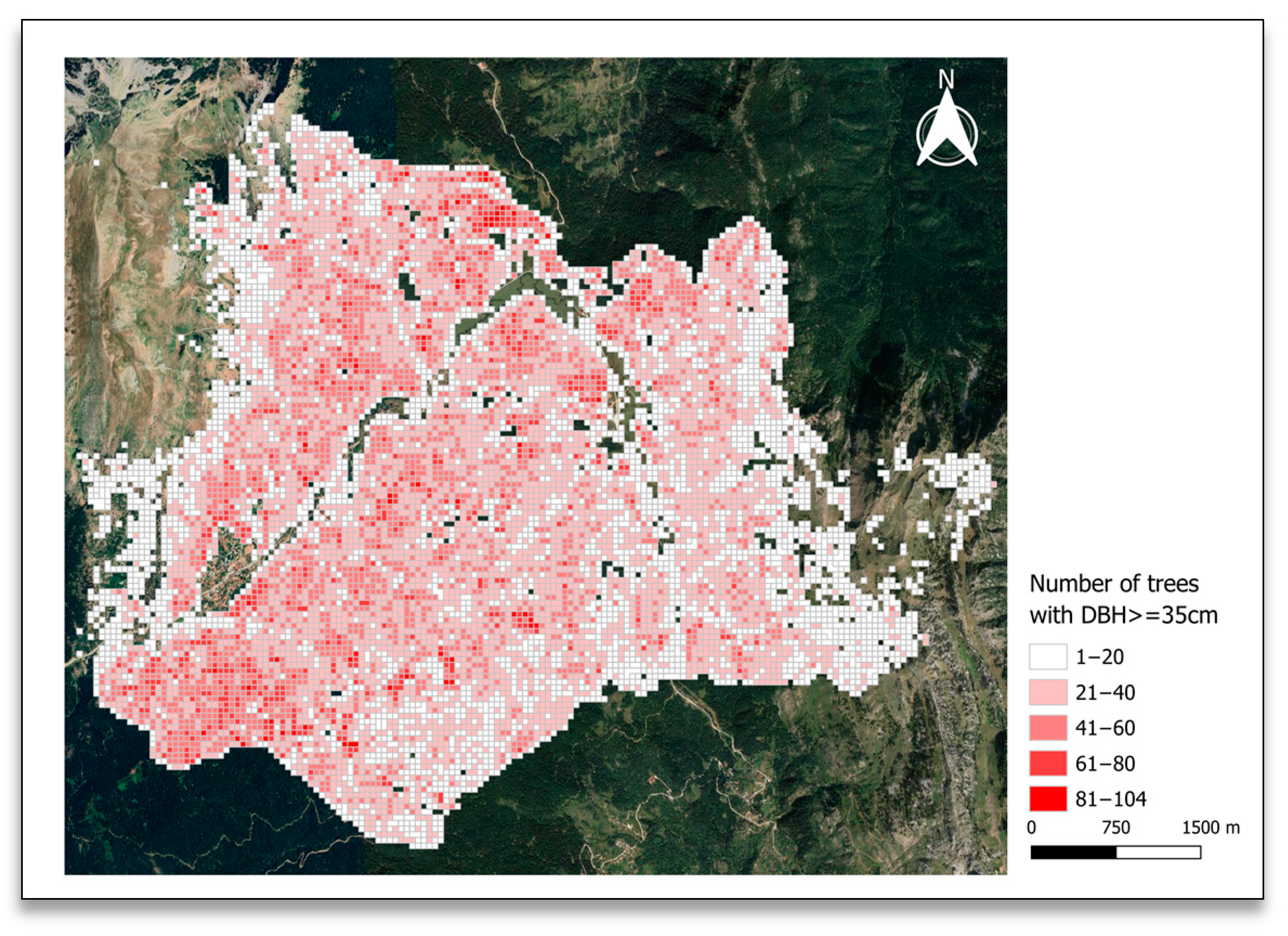 Forests 14 02311 g009 Forests 14 02311 g009