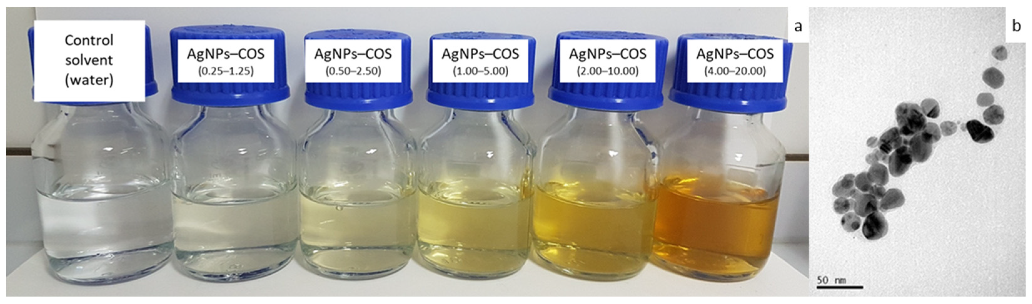 Forests 14 02316 g001