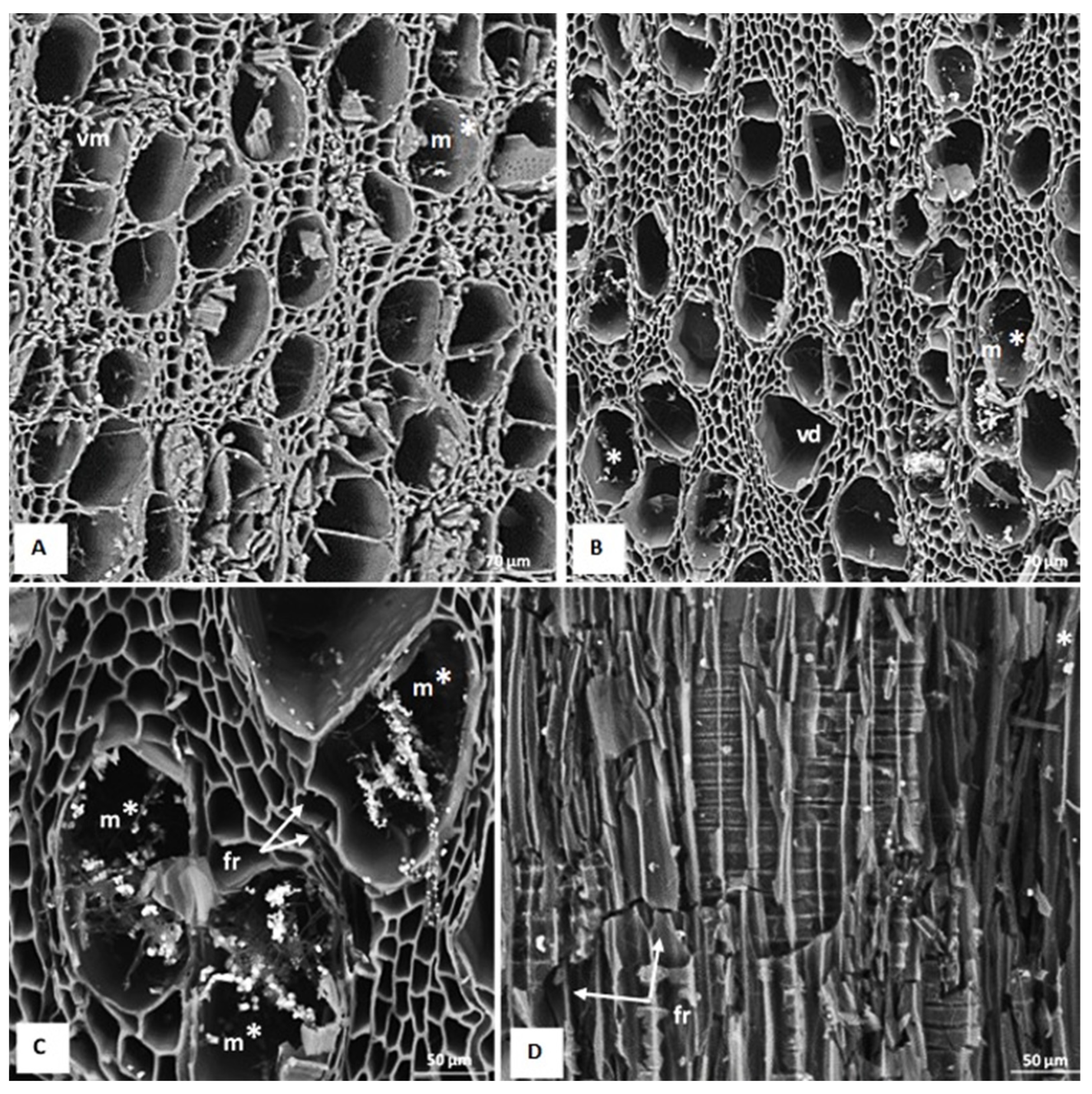 Forests 14 02316 g005