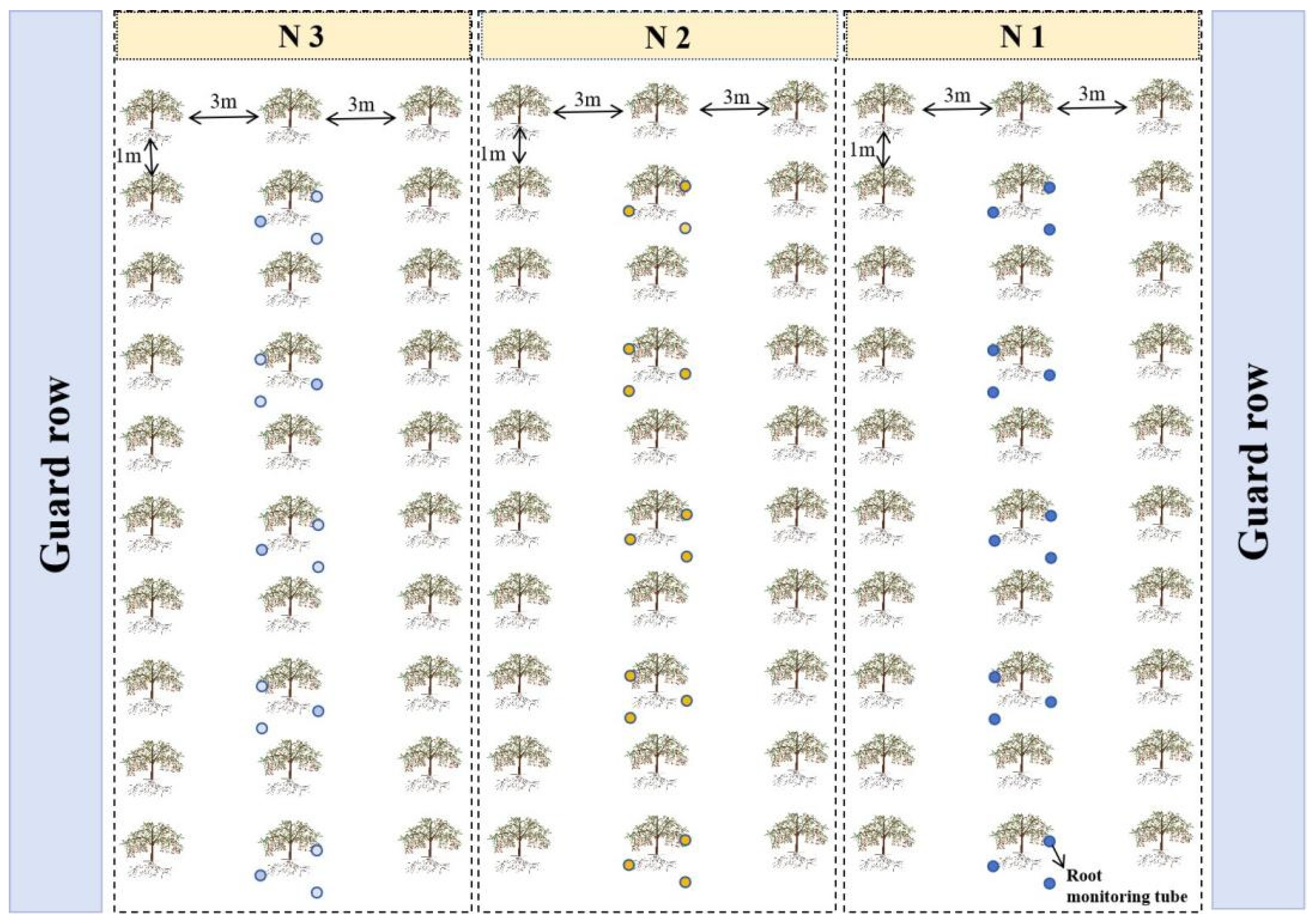 Forests 14 02317 g001
