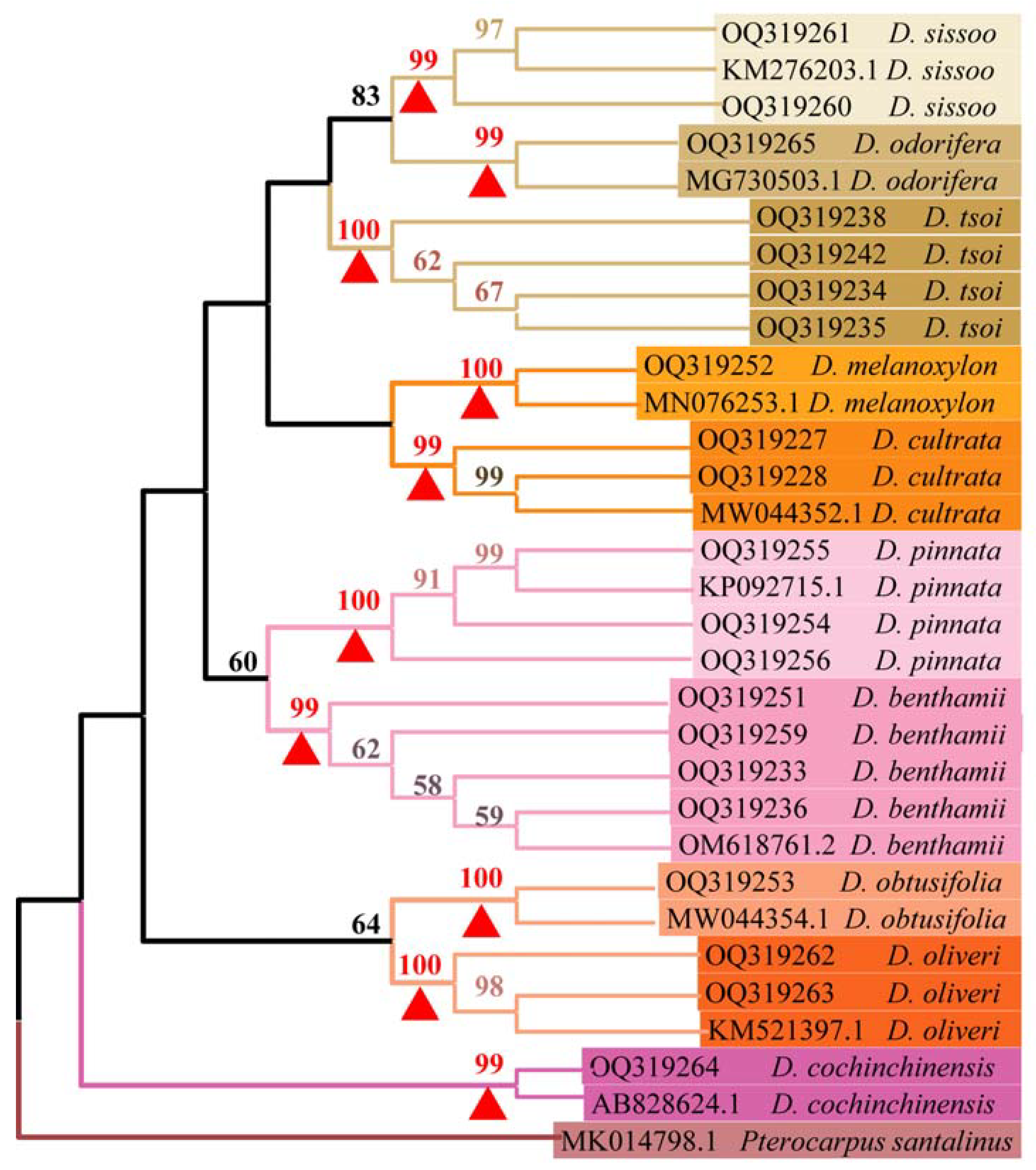 Forests 14 02318 g003