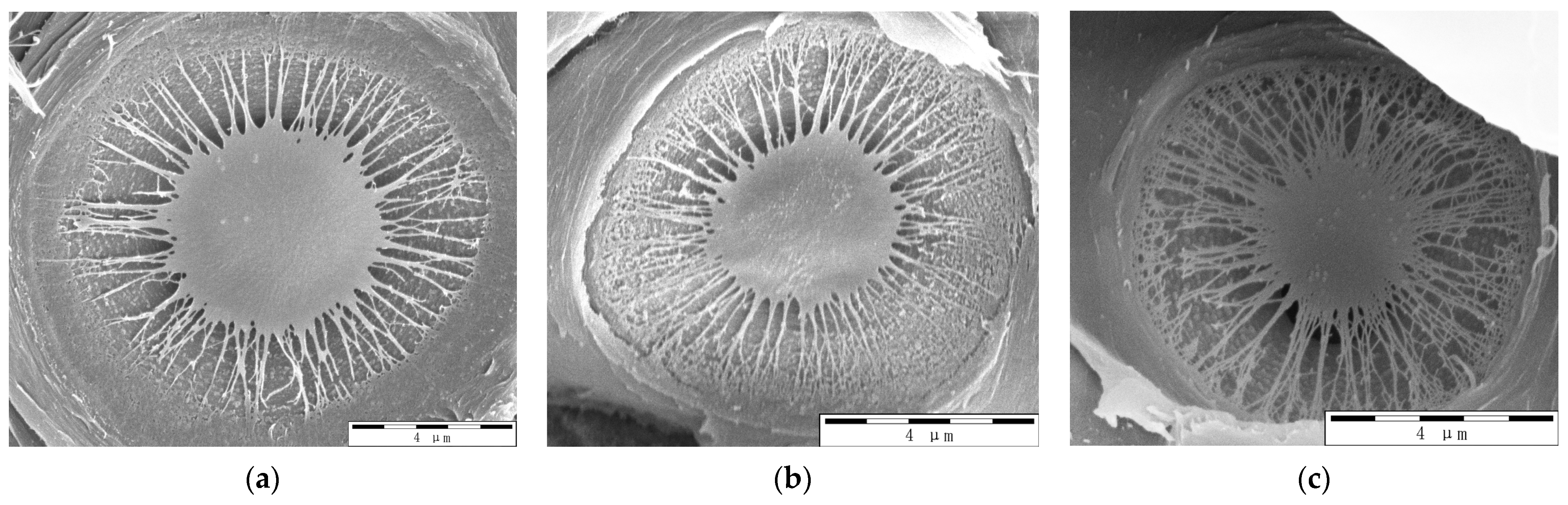 Forests 14 02324 g002