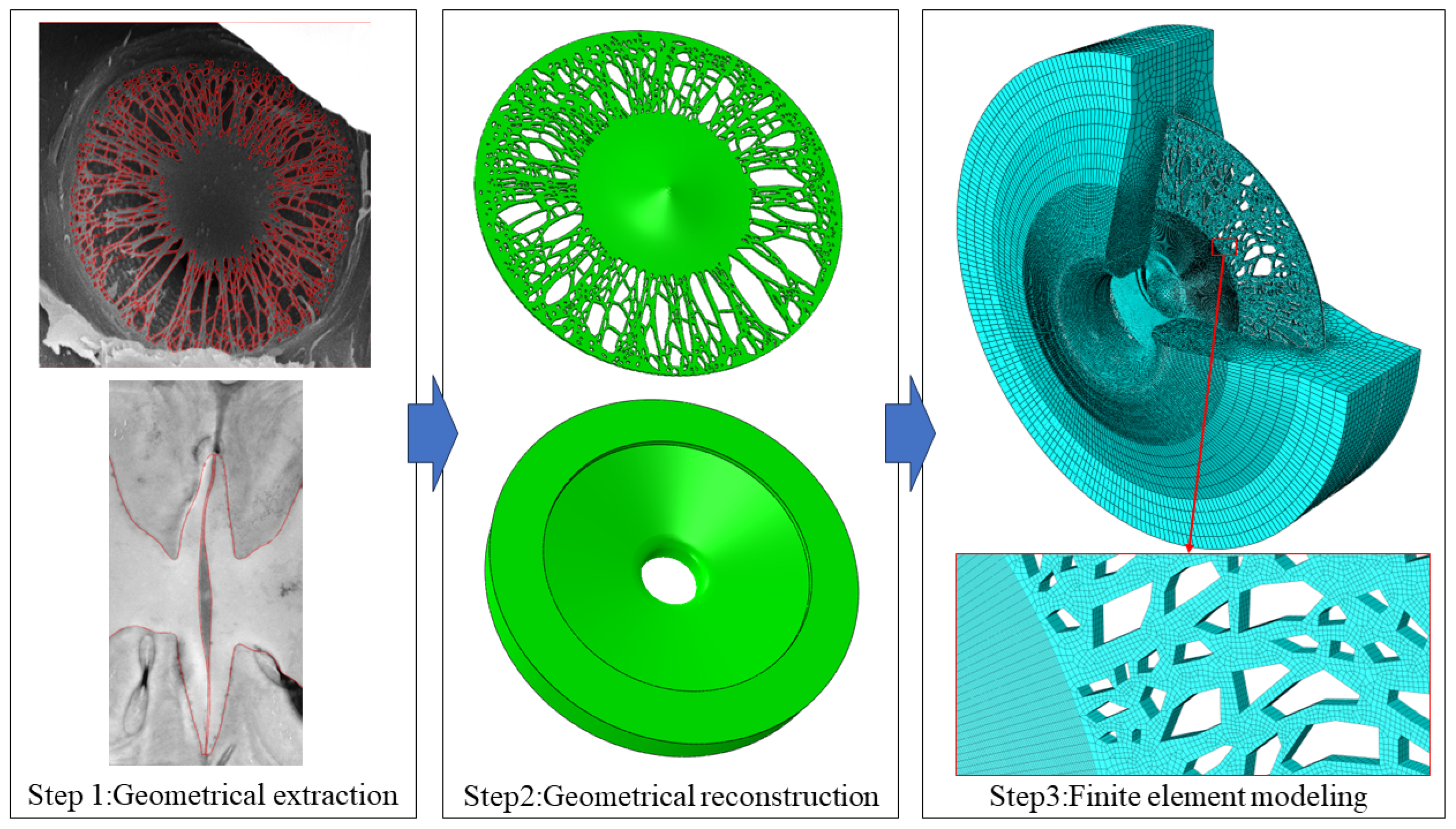 Forests 14 02324 g004