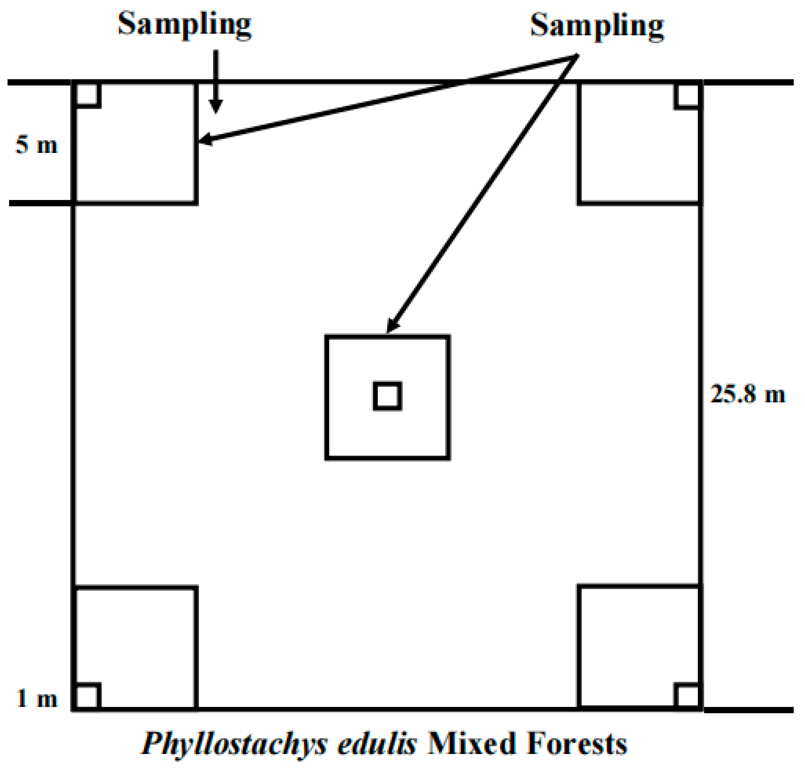 Forests 14 02325 g001