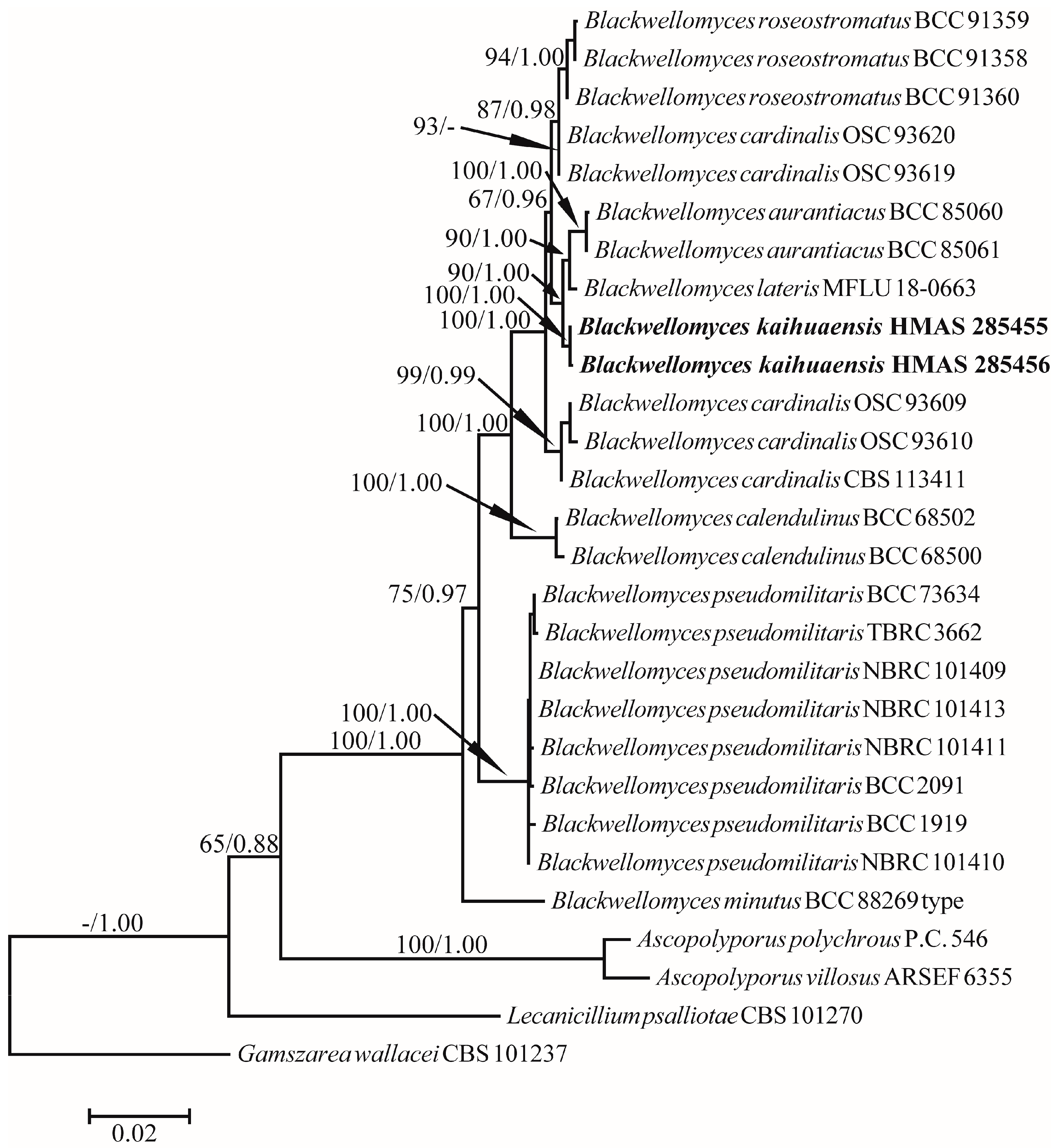 Forests 14 02333 g001