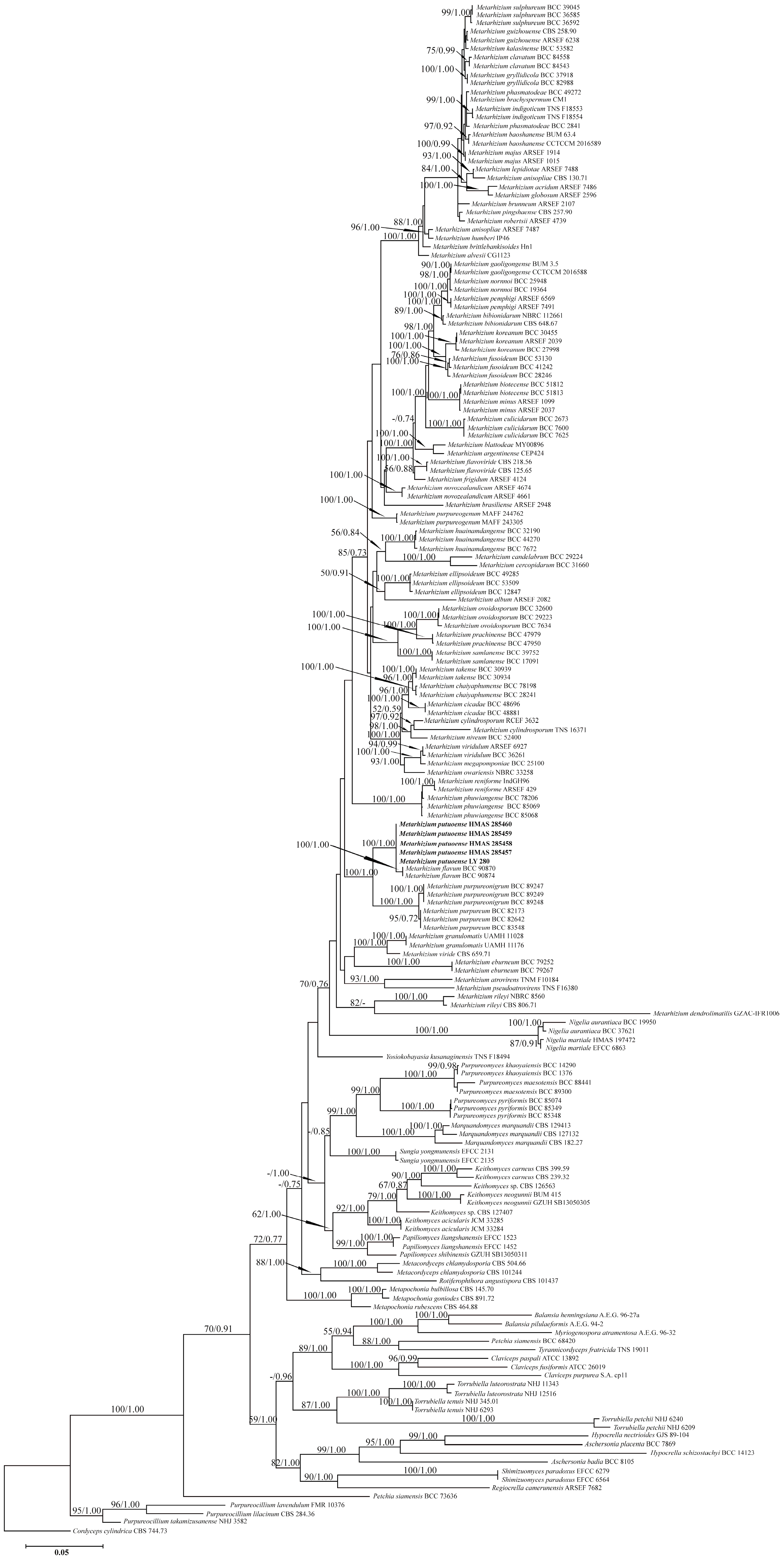 Forests 14 02333 g002
