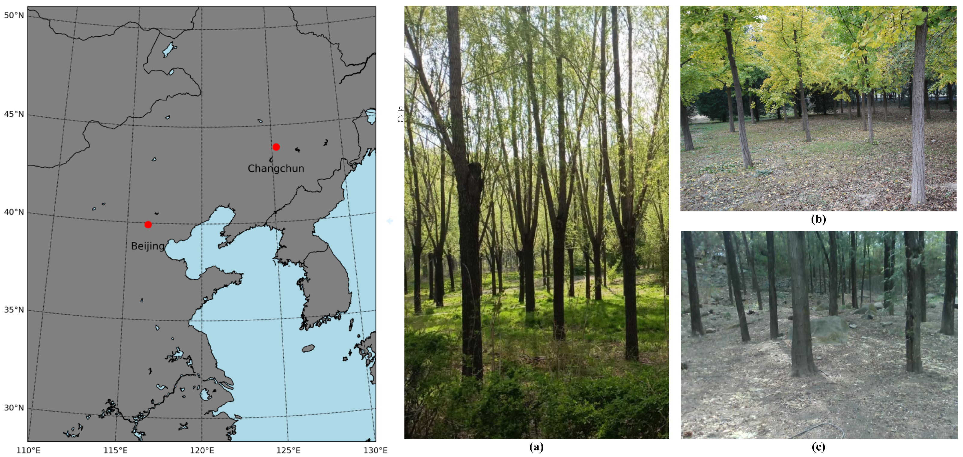 Forests 14 02334 g002