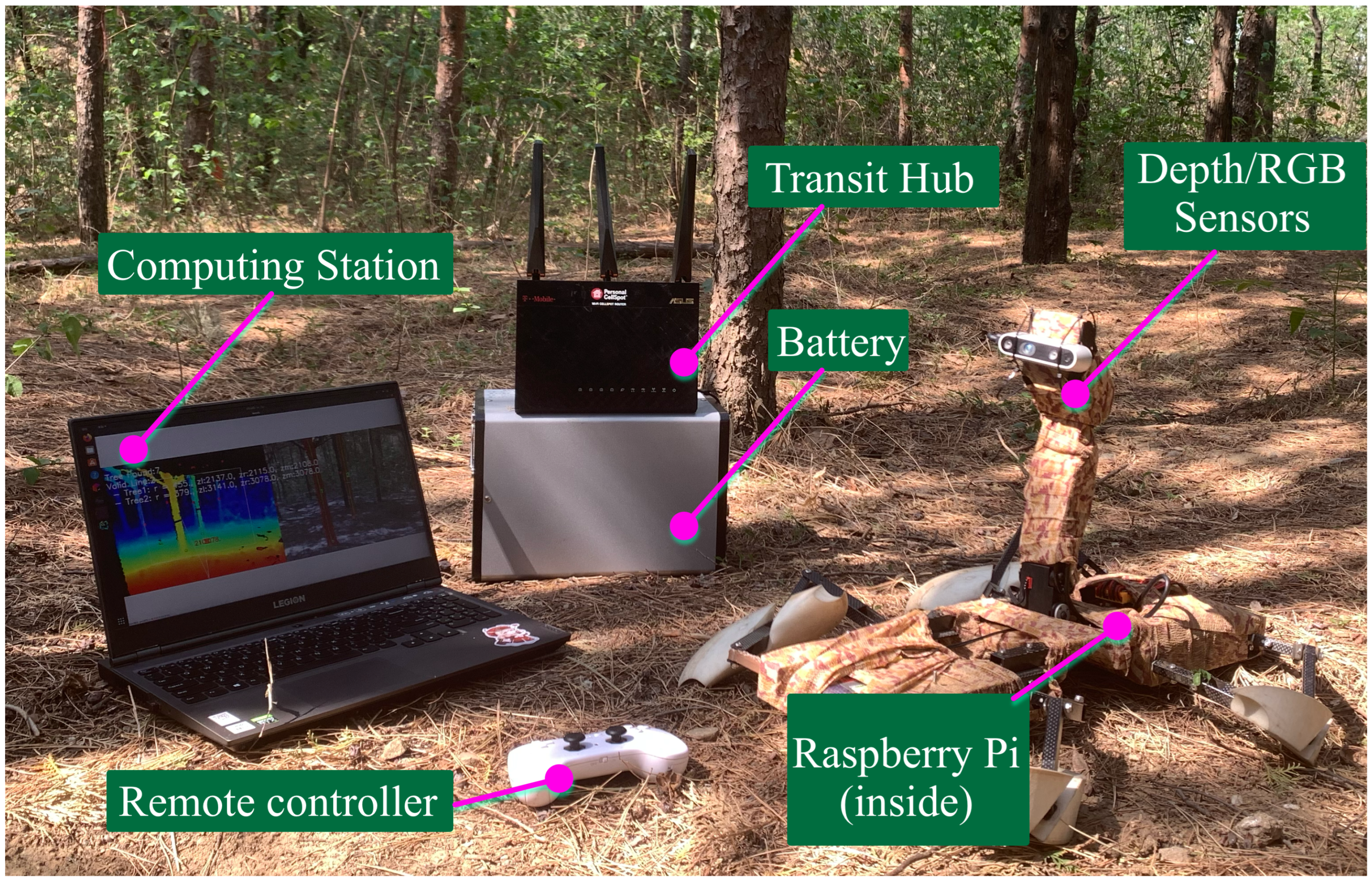 Forests 14 02334 g004
