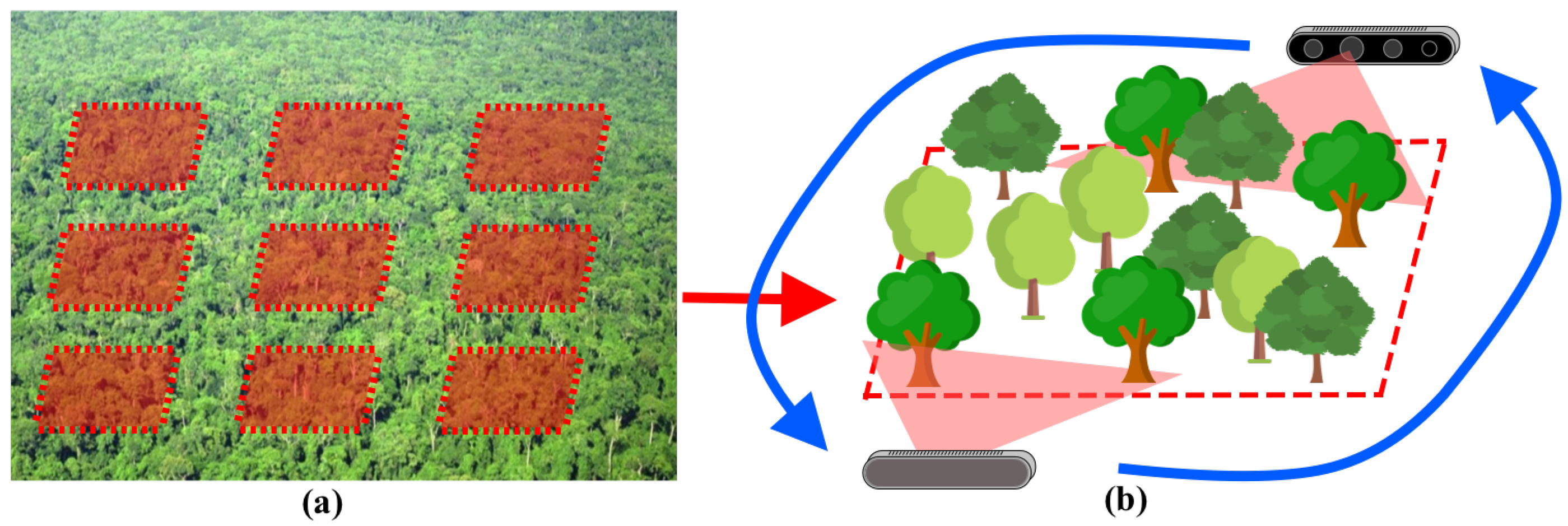 Forests 14 02334 g005