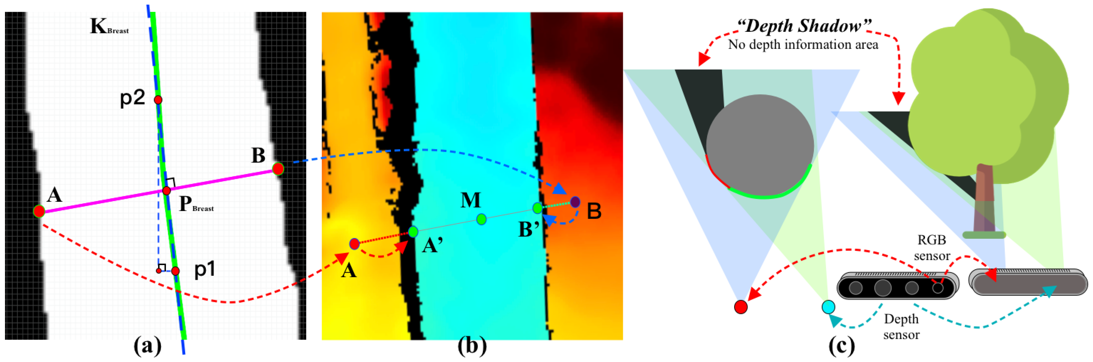 Forests 14 02334 g009