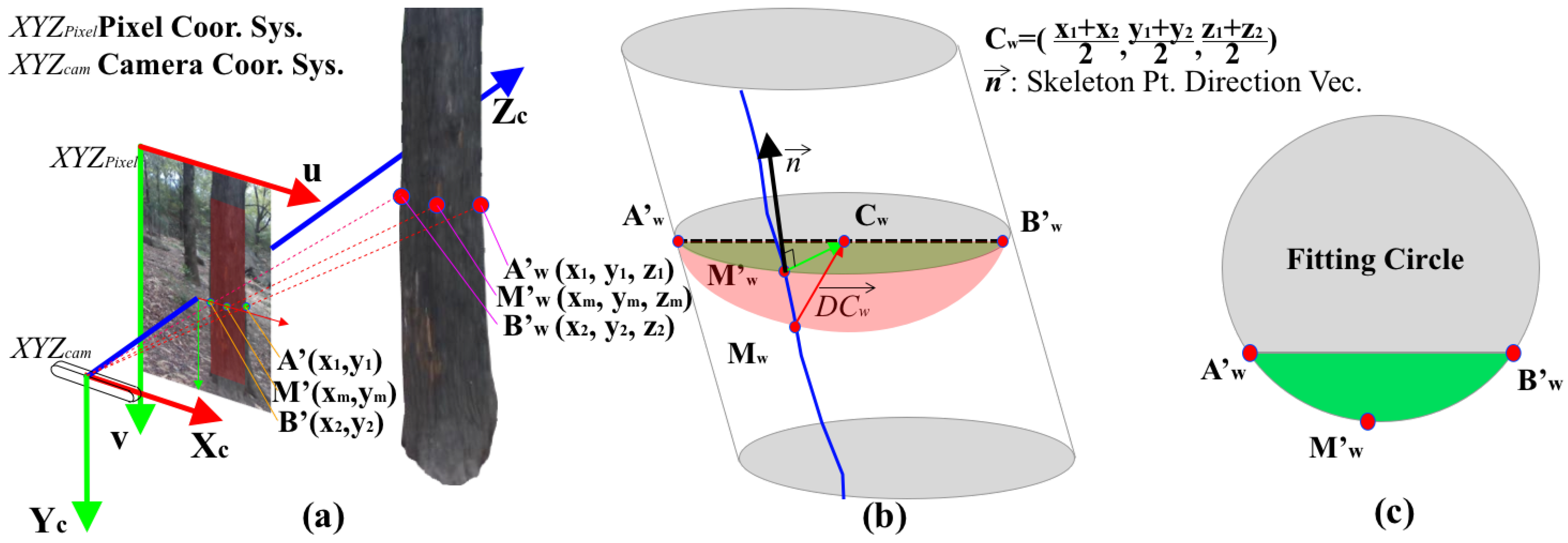Forests 14 02334 g010