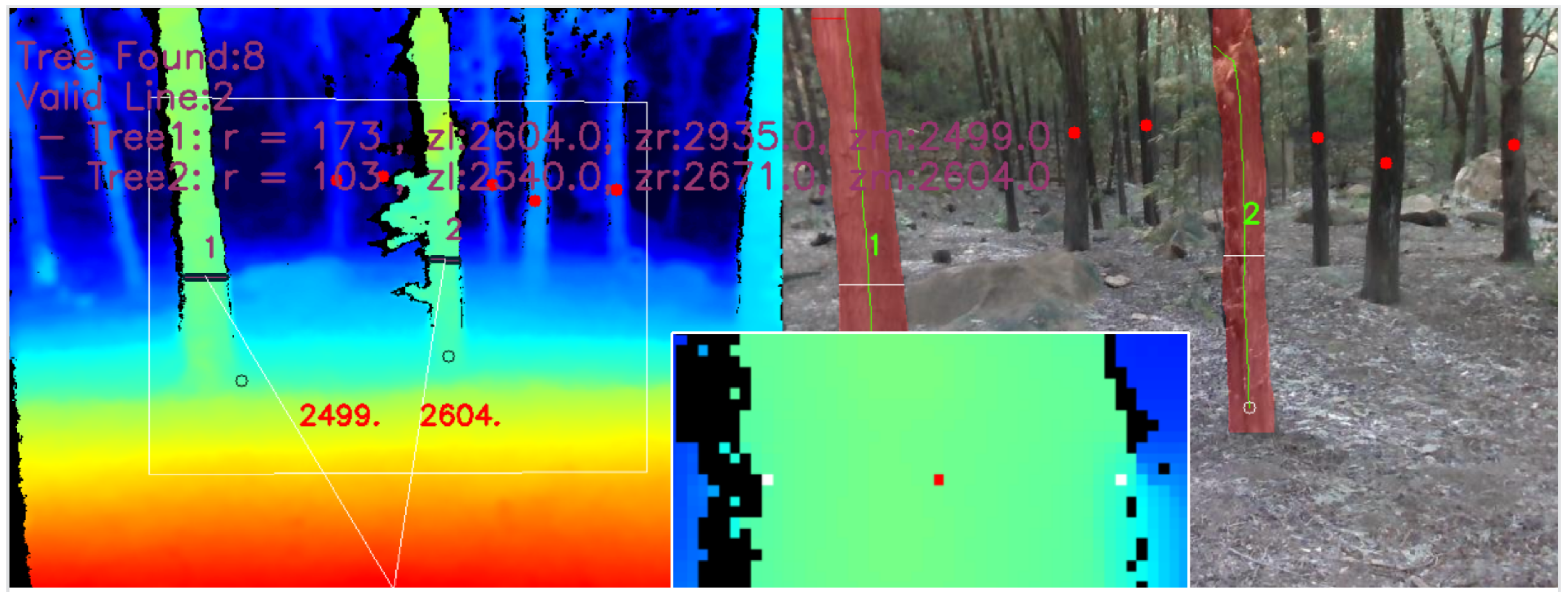 Forests 14 02334 g015