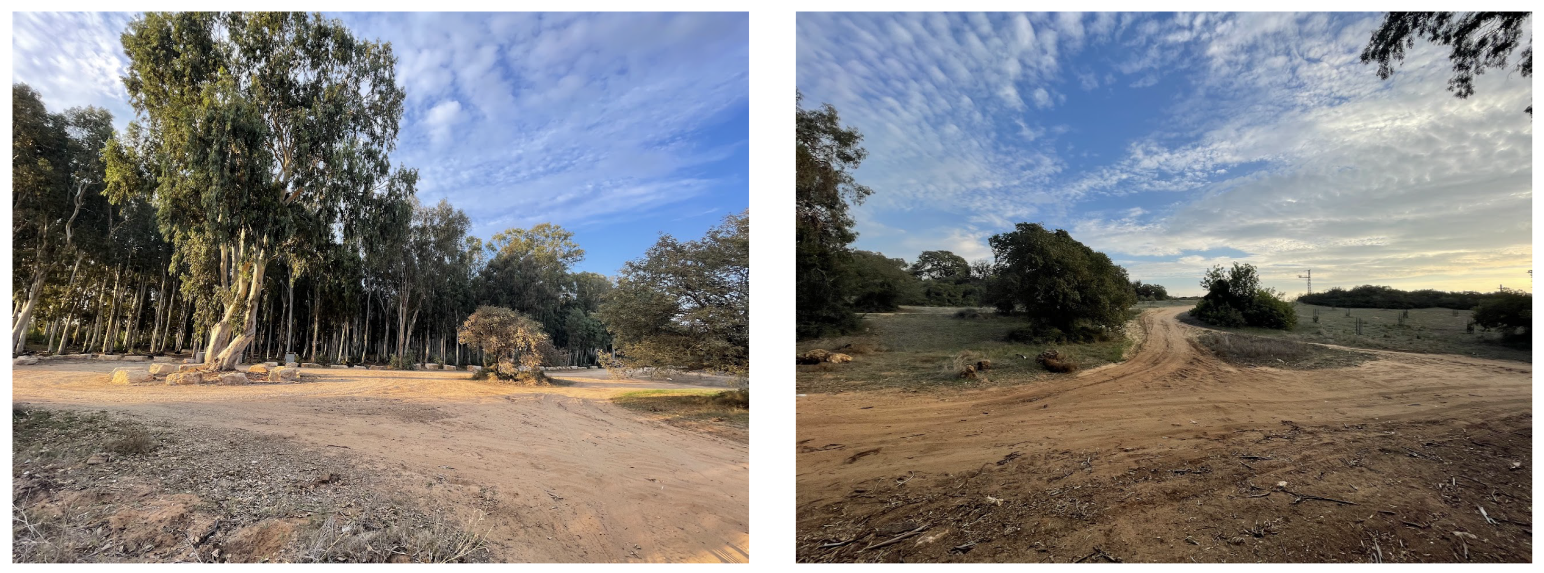 Forests 14 02335 g002