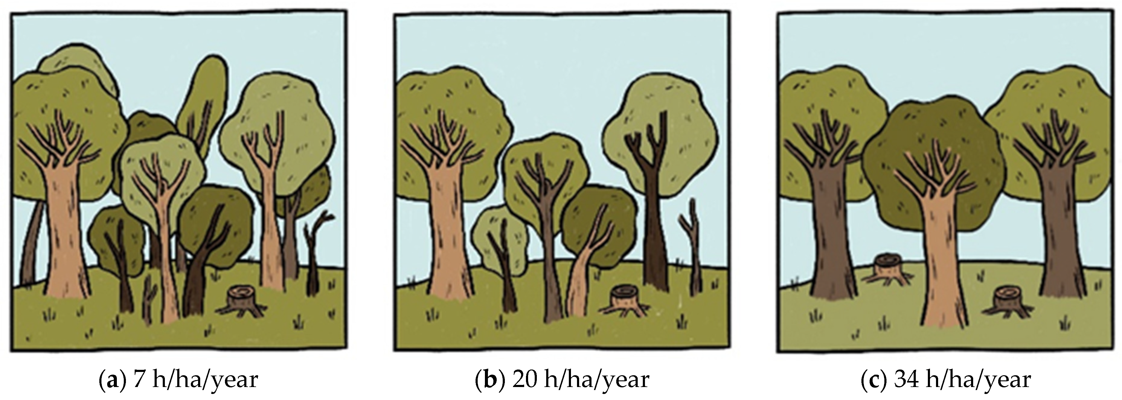 Forests 14 02346 g0a1