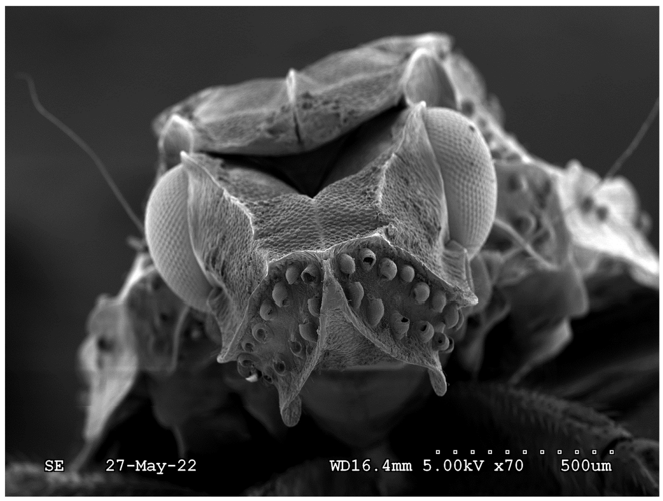 Forests 14 02354 g002