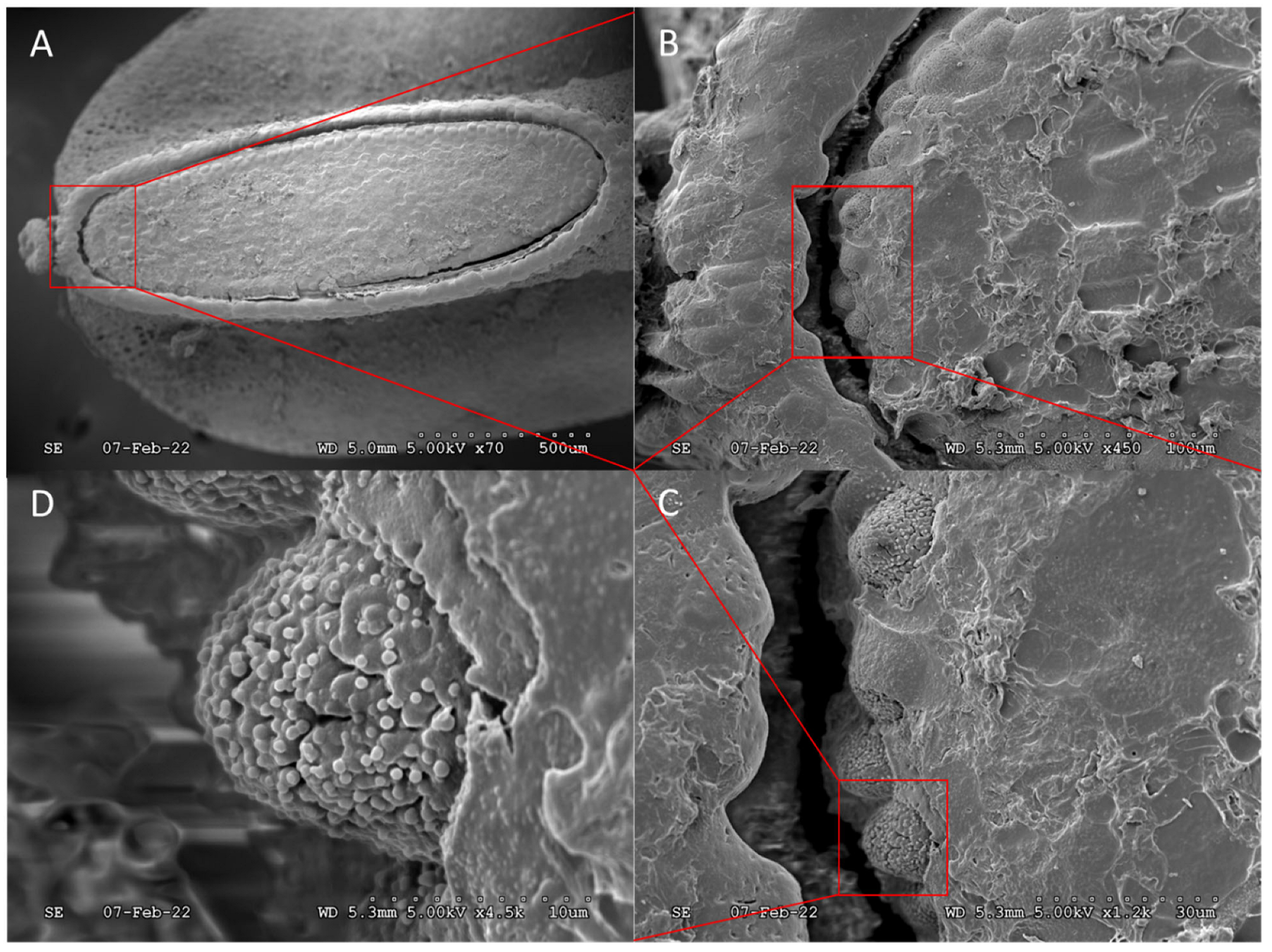 Forests 14 02354 g006