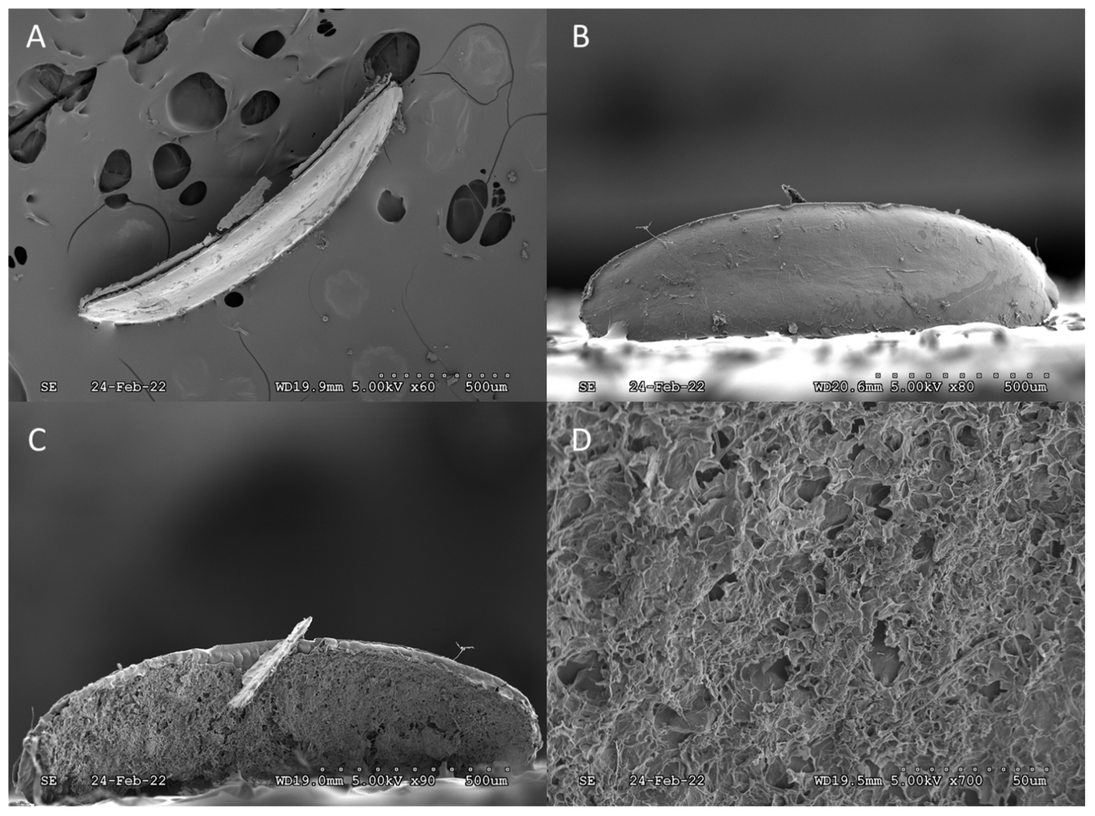 Forests 14 02354 g008