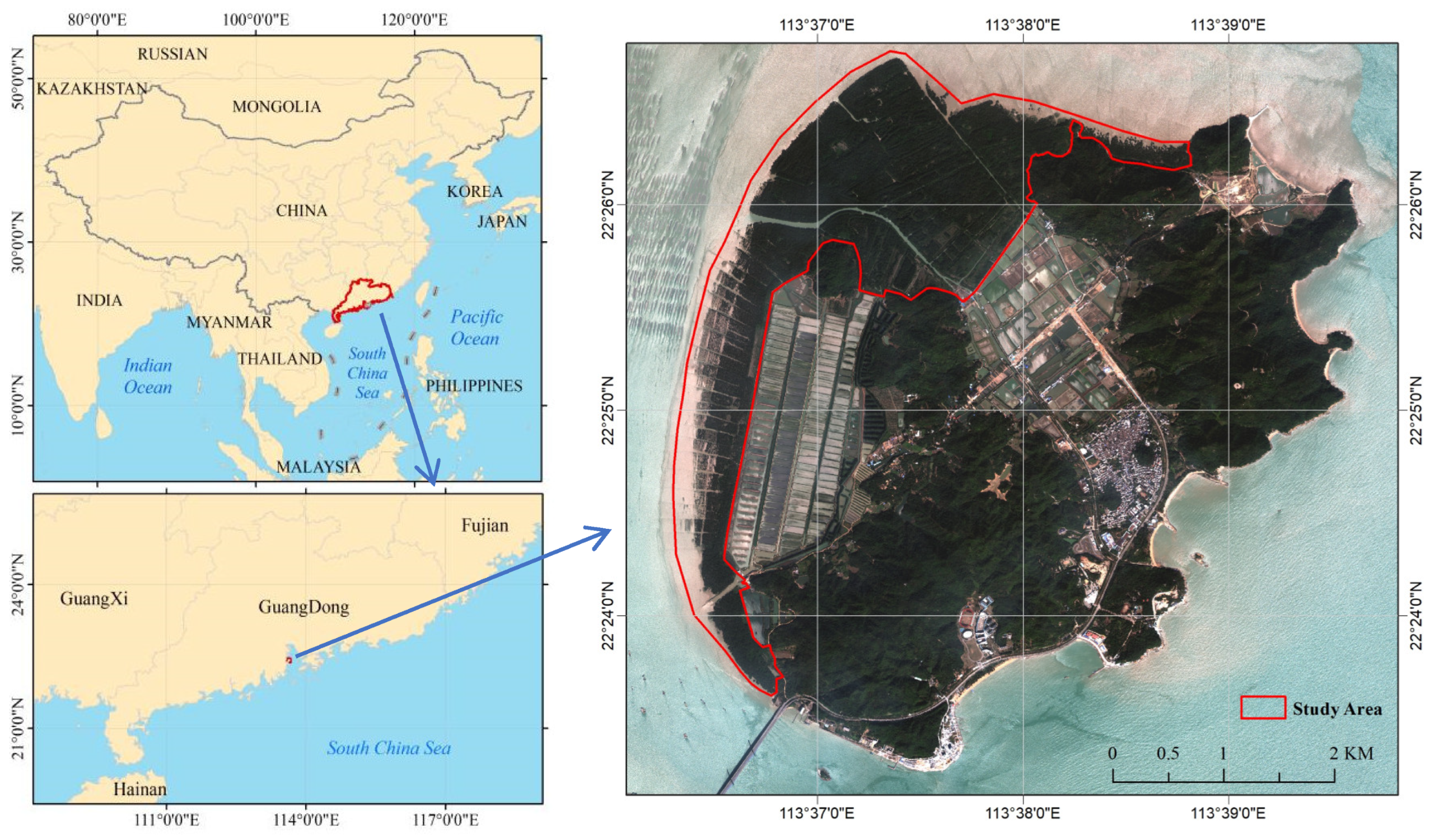 Forests 14 02356 g001