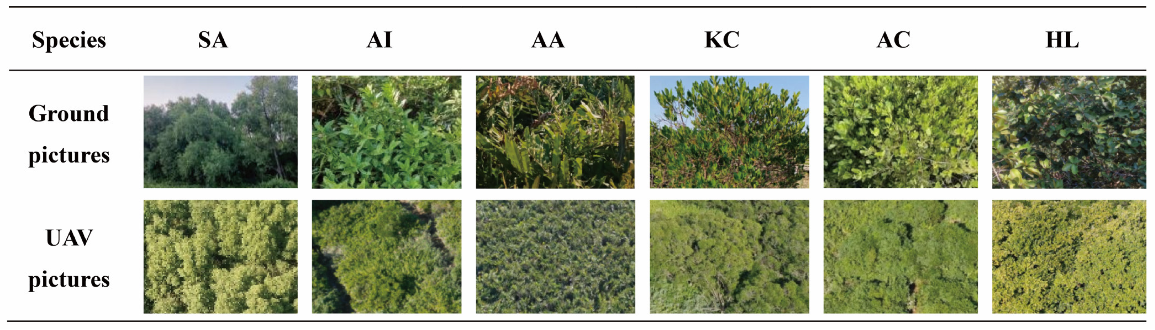Forests 14 02356 g002
