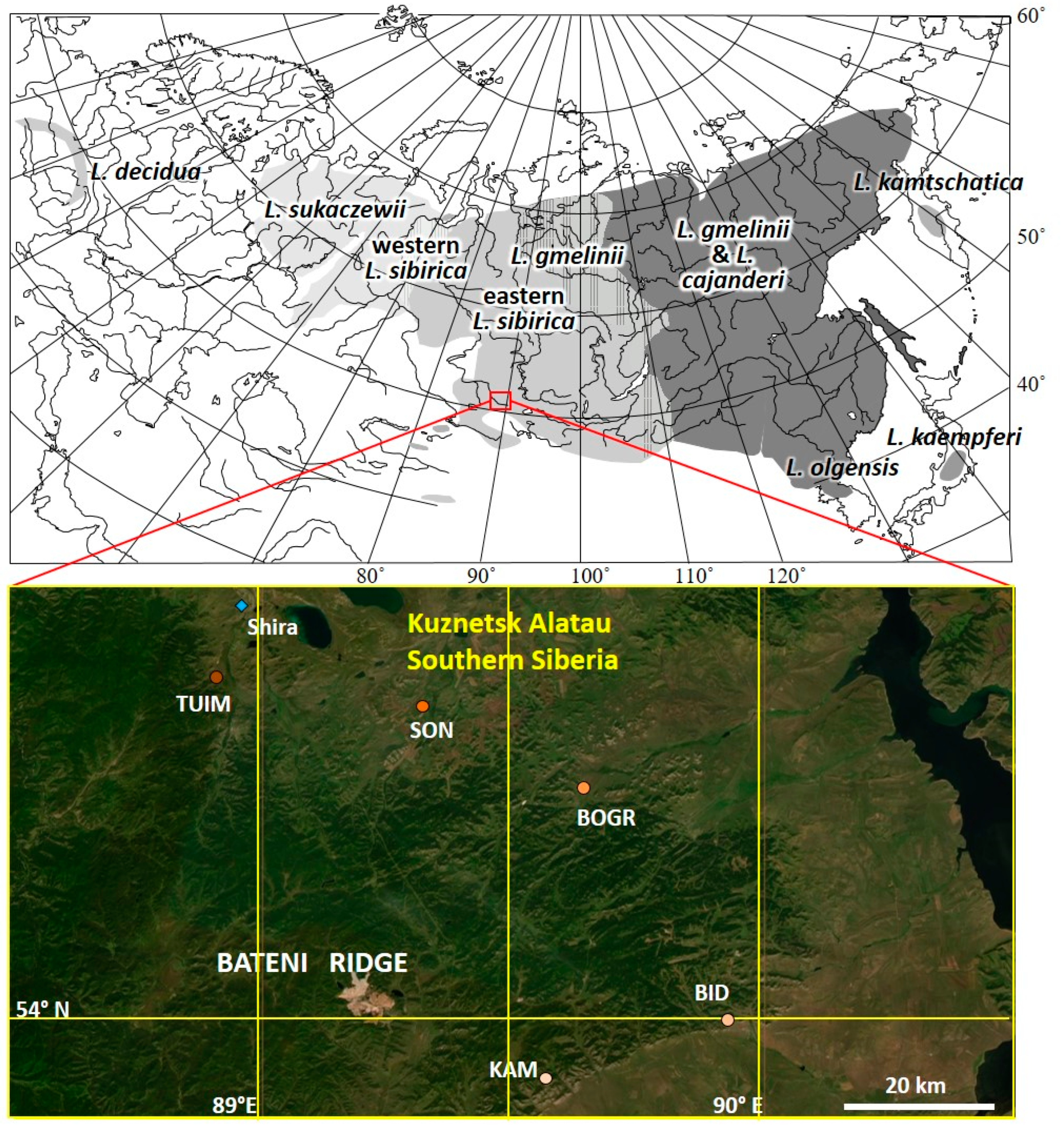 Forests 14 02358 g001 Forests 14 02358 g001