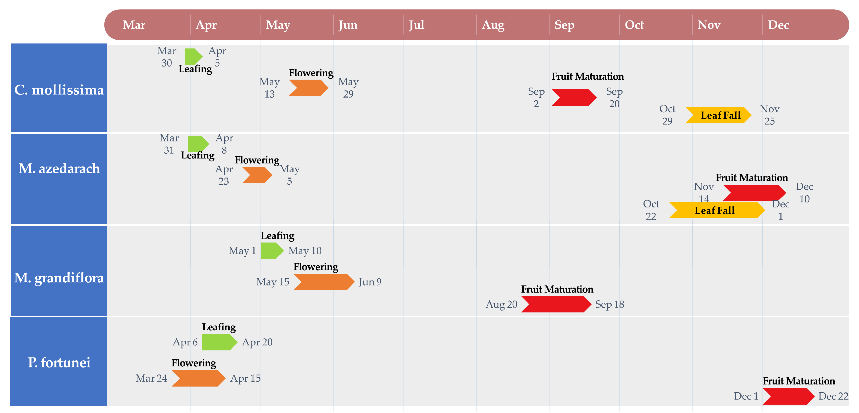 Forests 14 02363 g002