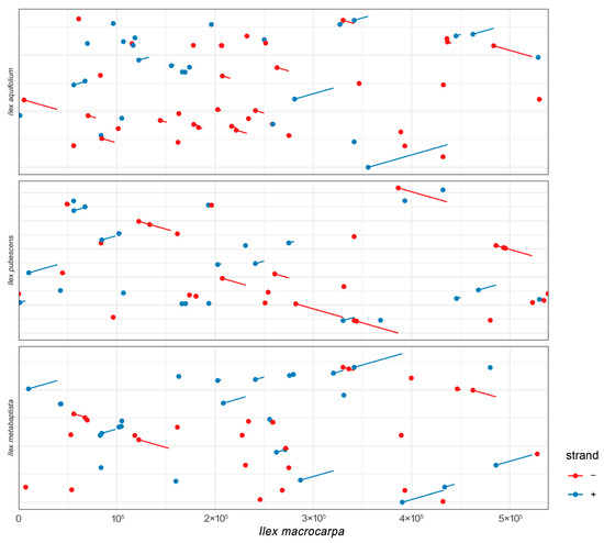 シークエンス3 シークエンス4+ Comprehensive Analysis of Chloroplast Genomes in Leguminous Forage