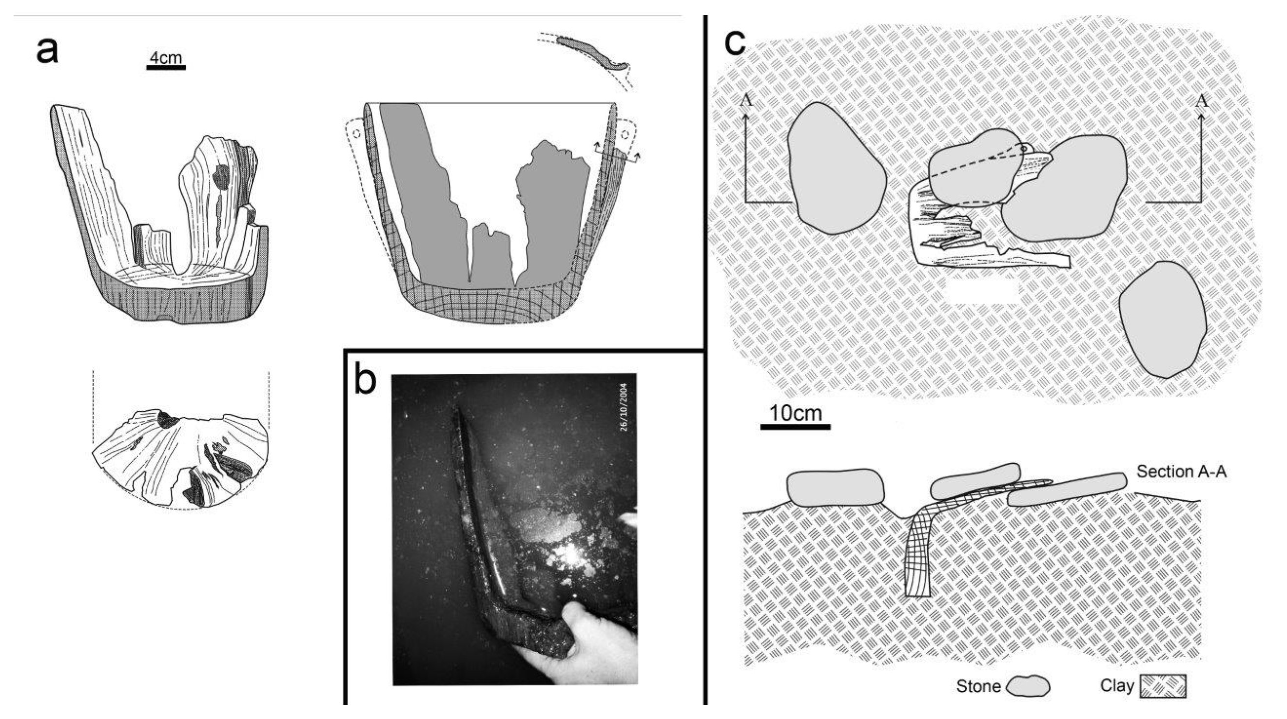 Forests 14 02373 g006