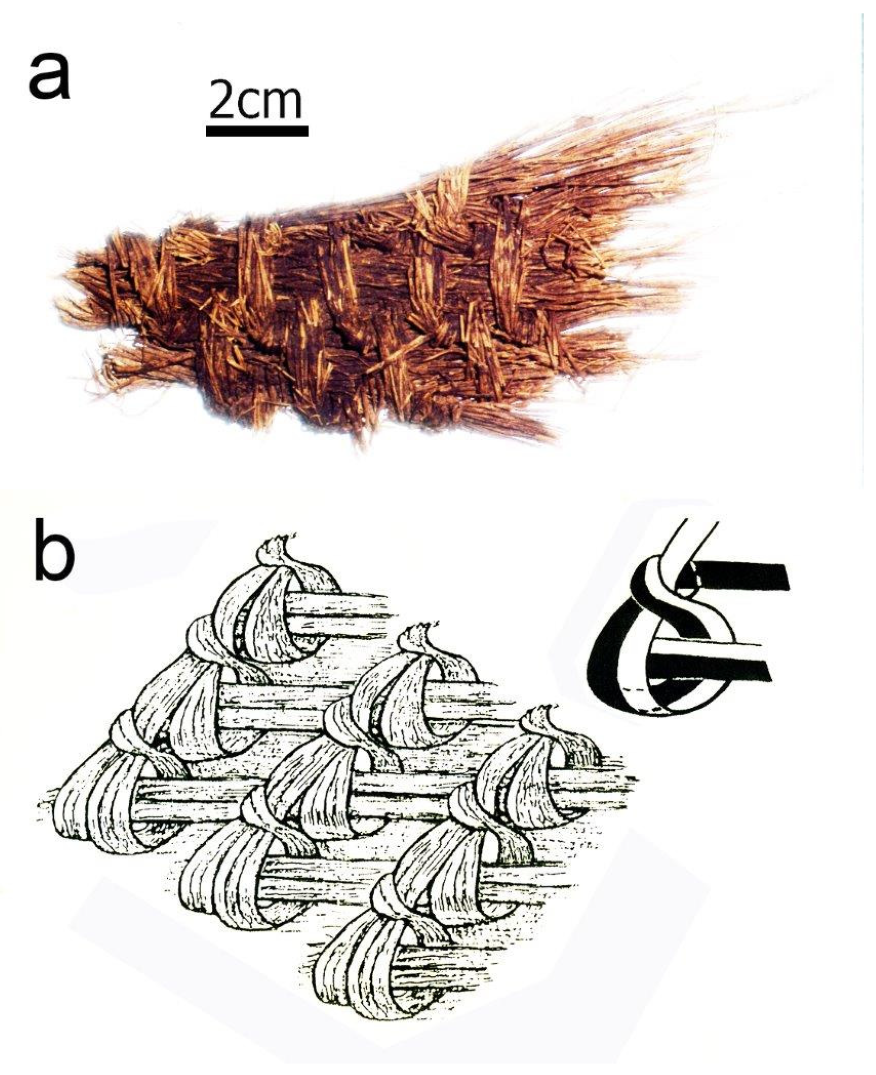 Forests 14 02373 g008