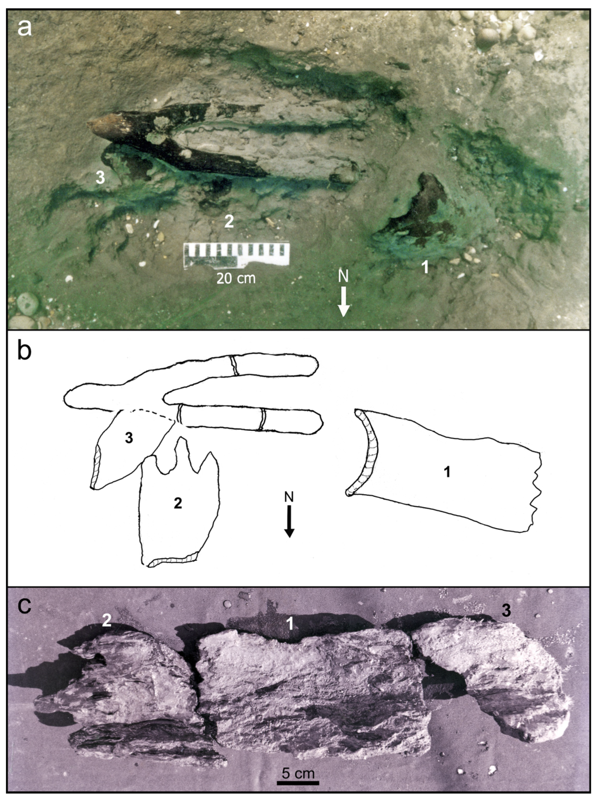 Forests 14 02373 g010