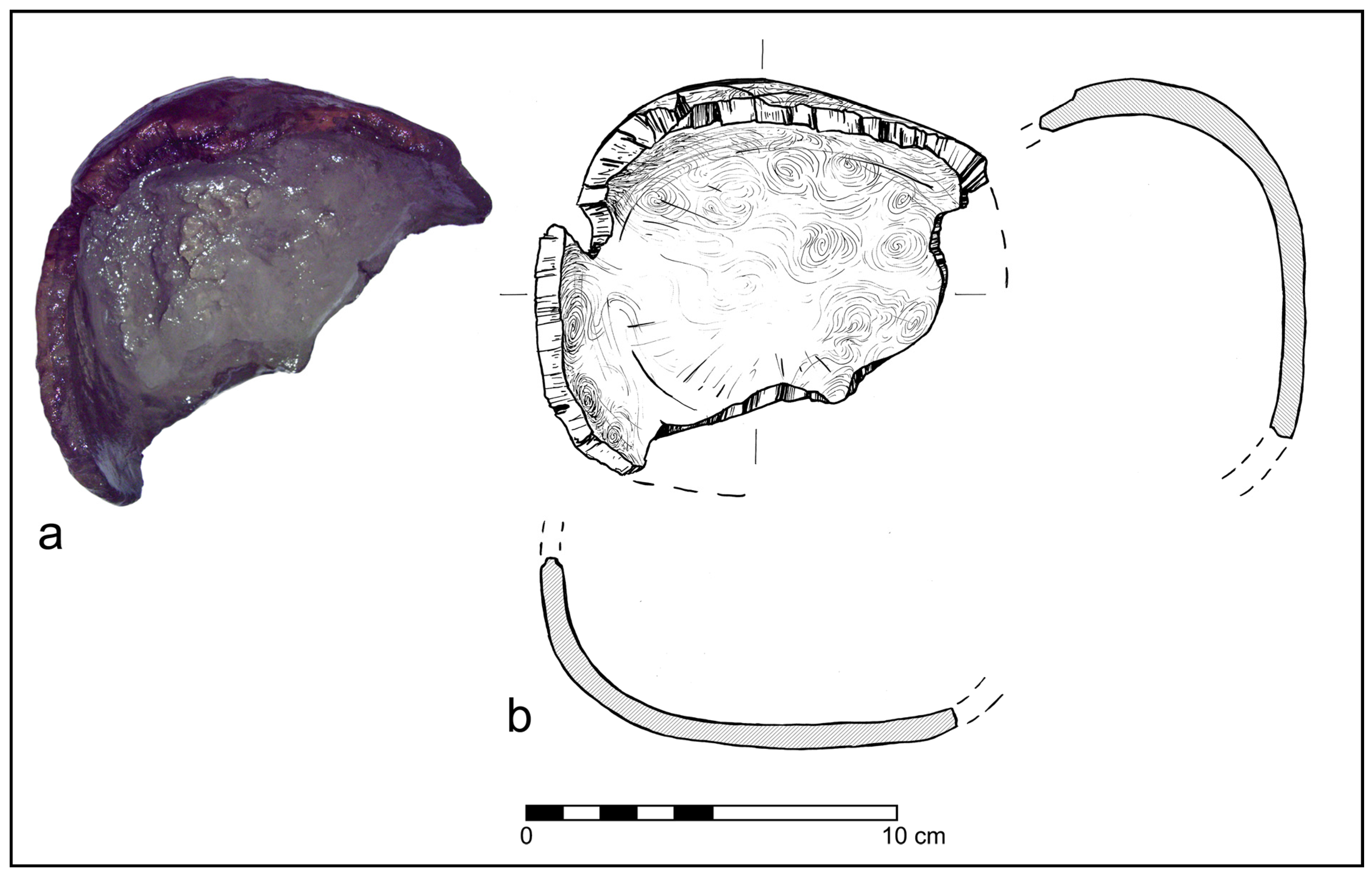 Forests 14 02373 g012