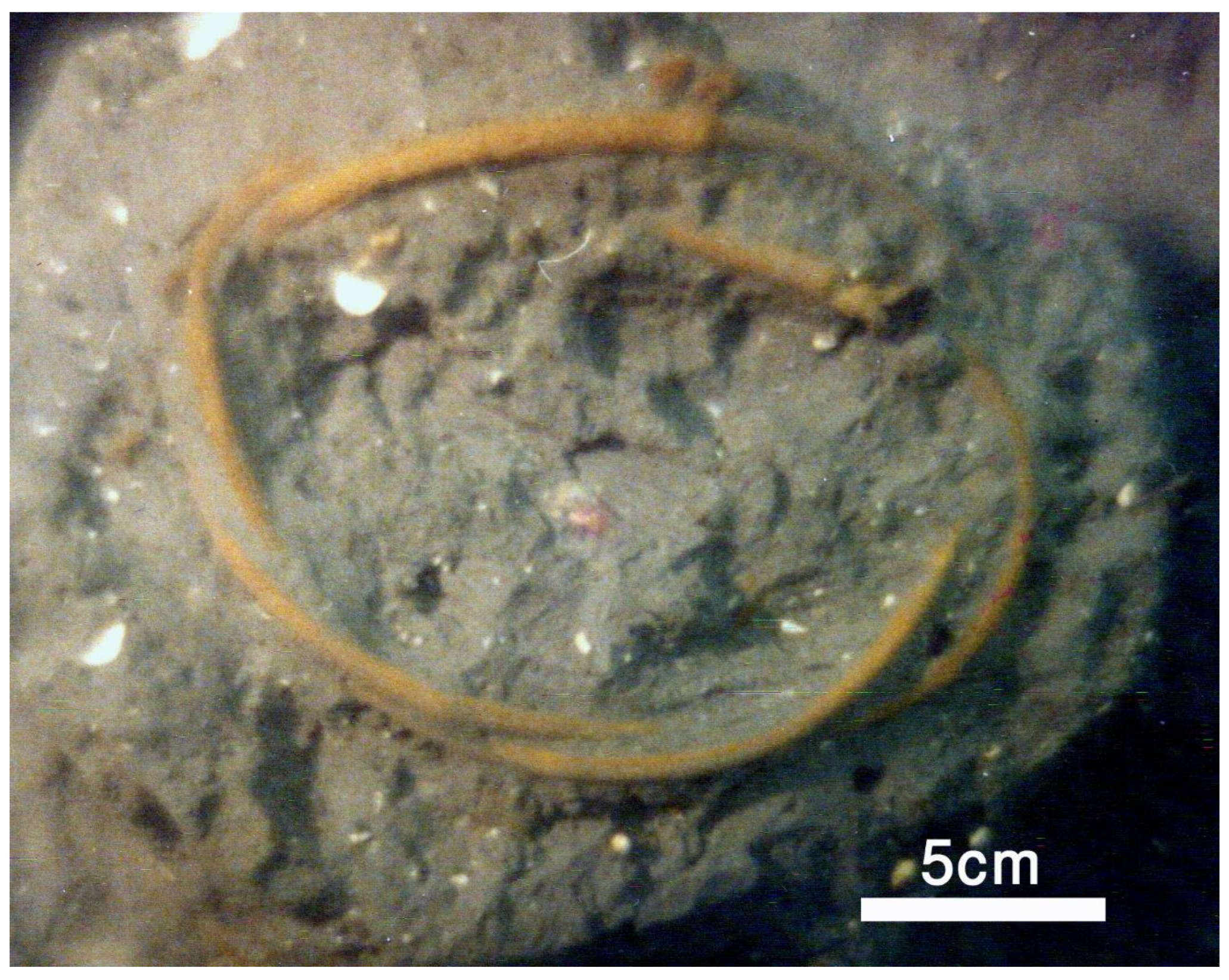 Forests 14 02373 g016