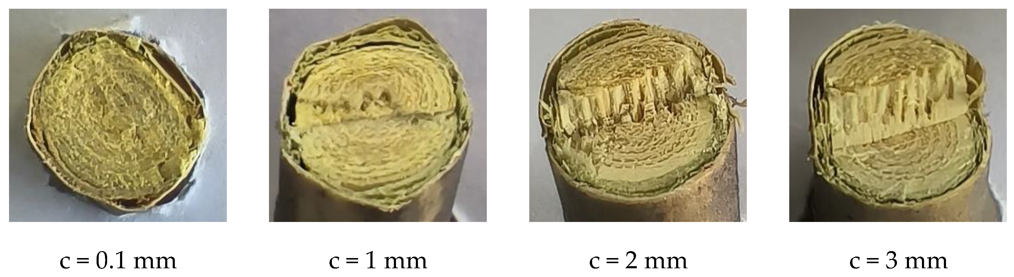 Forests 14 02379 g012
