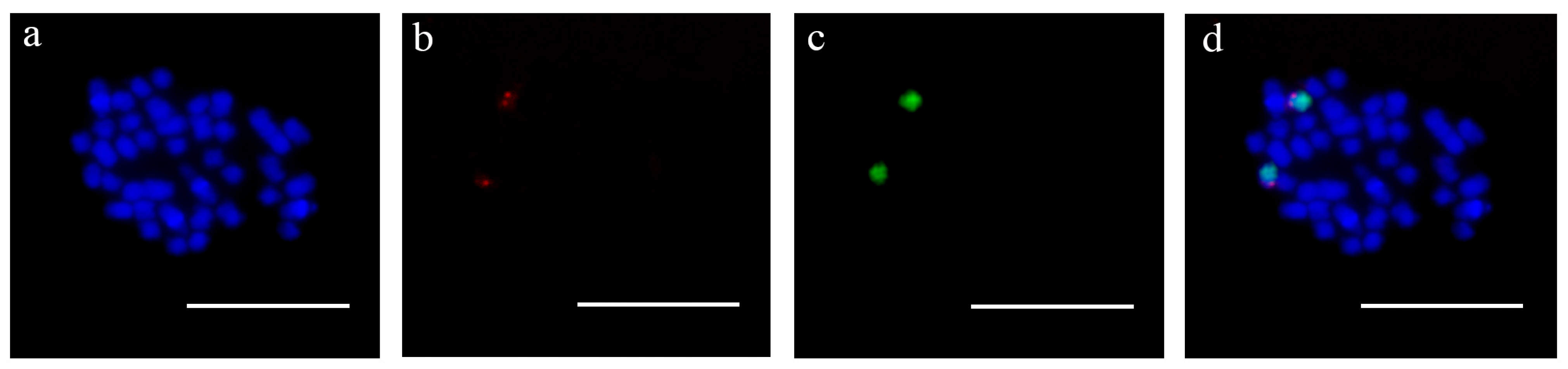 Forests 14 02385 g003