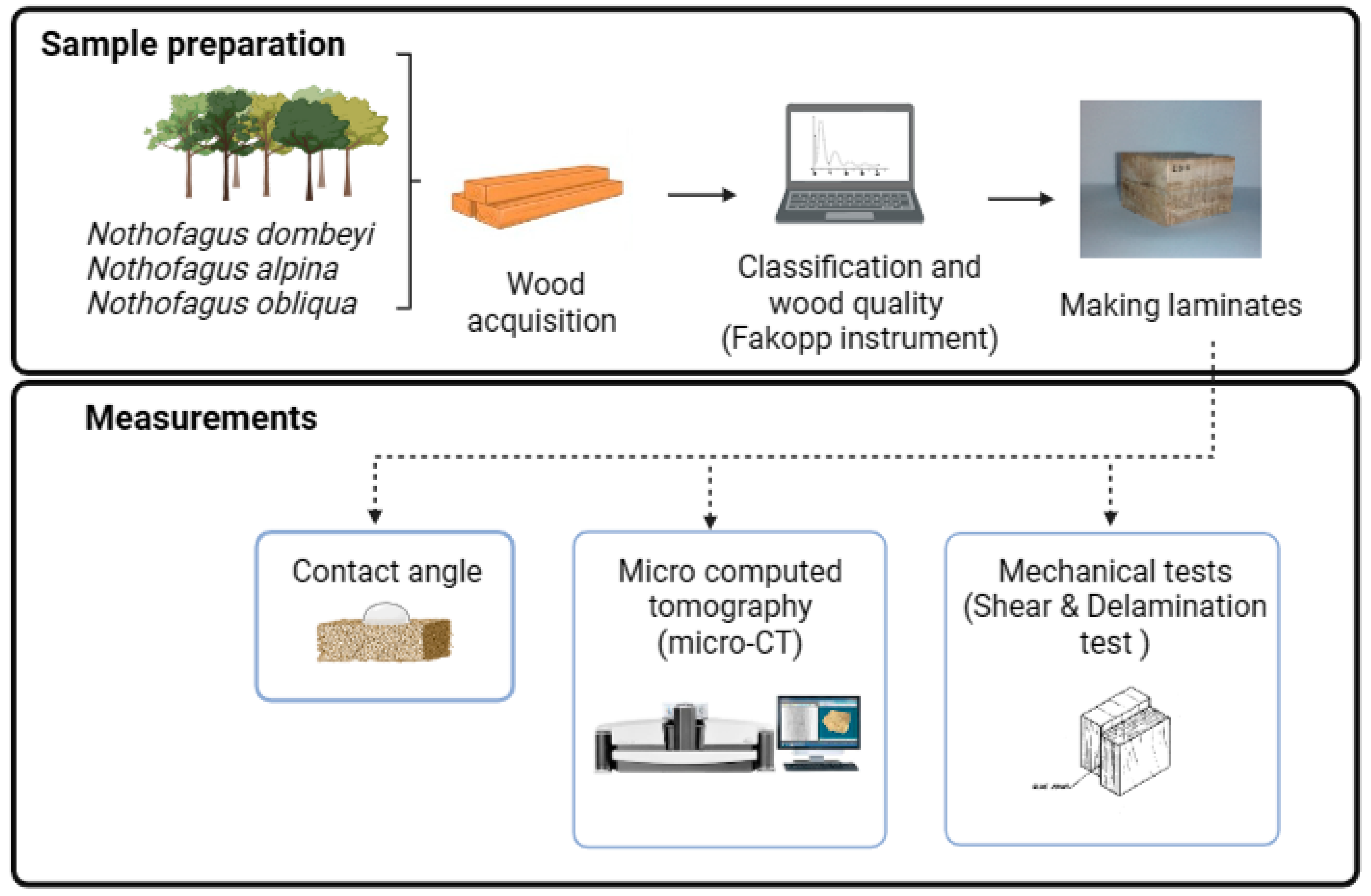 Forests 14 02386 g001