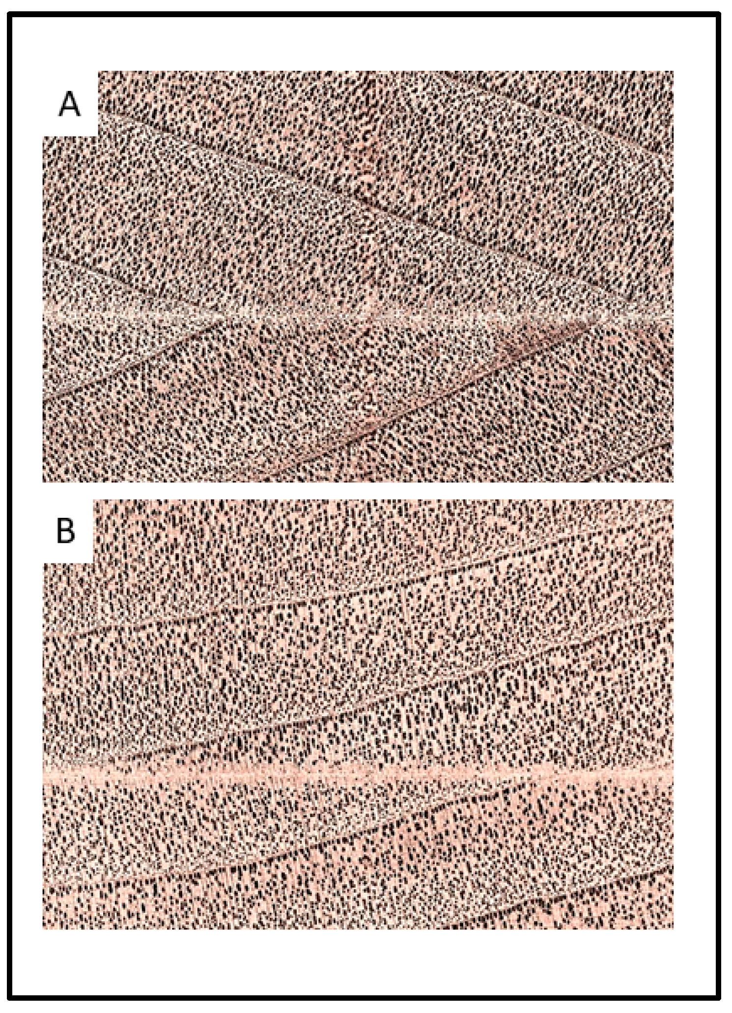 Forests 14 02386 g006