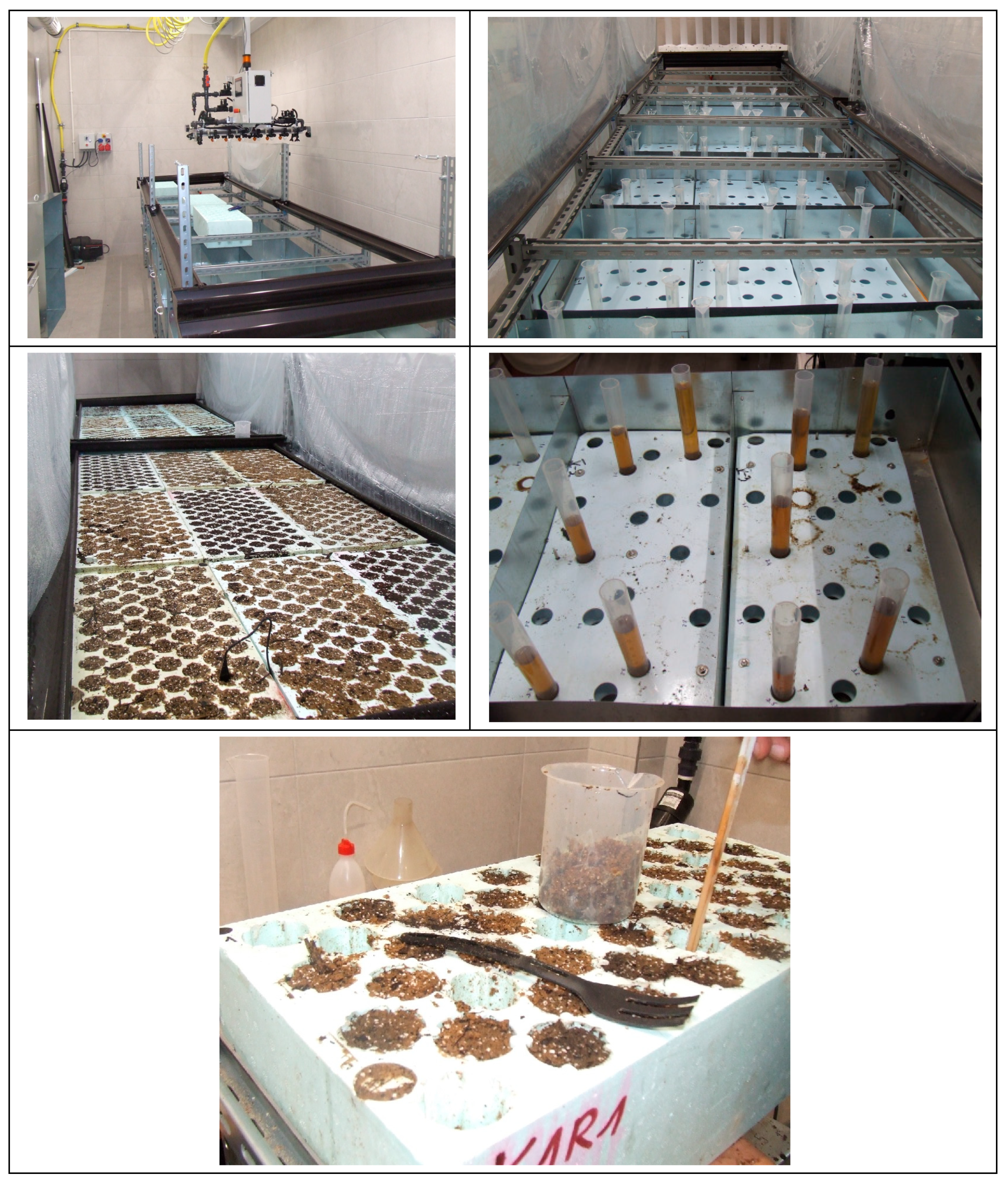 Forests 14 02398 g003