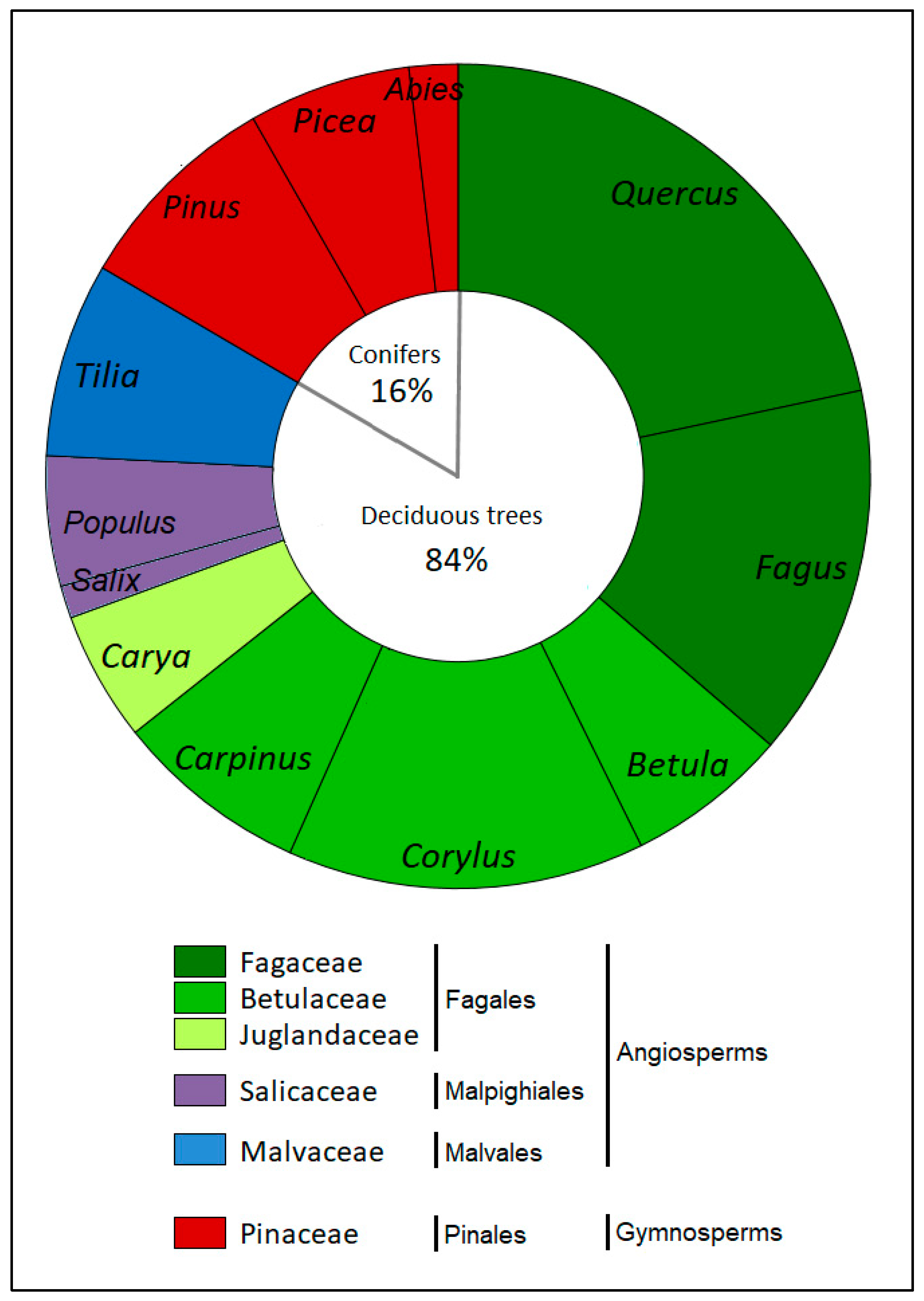 Forests 14 02407 g001