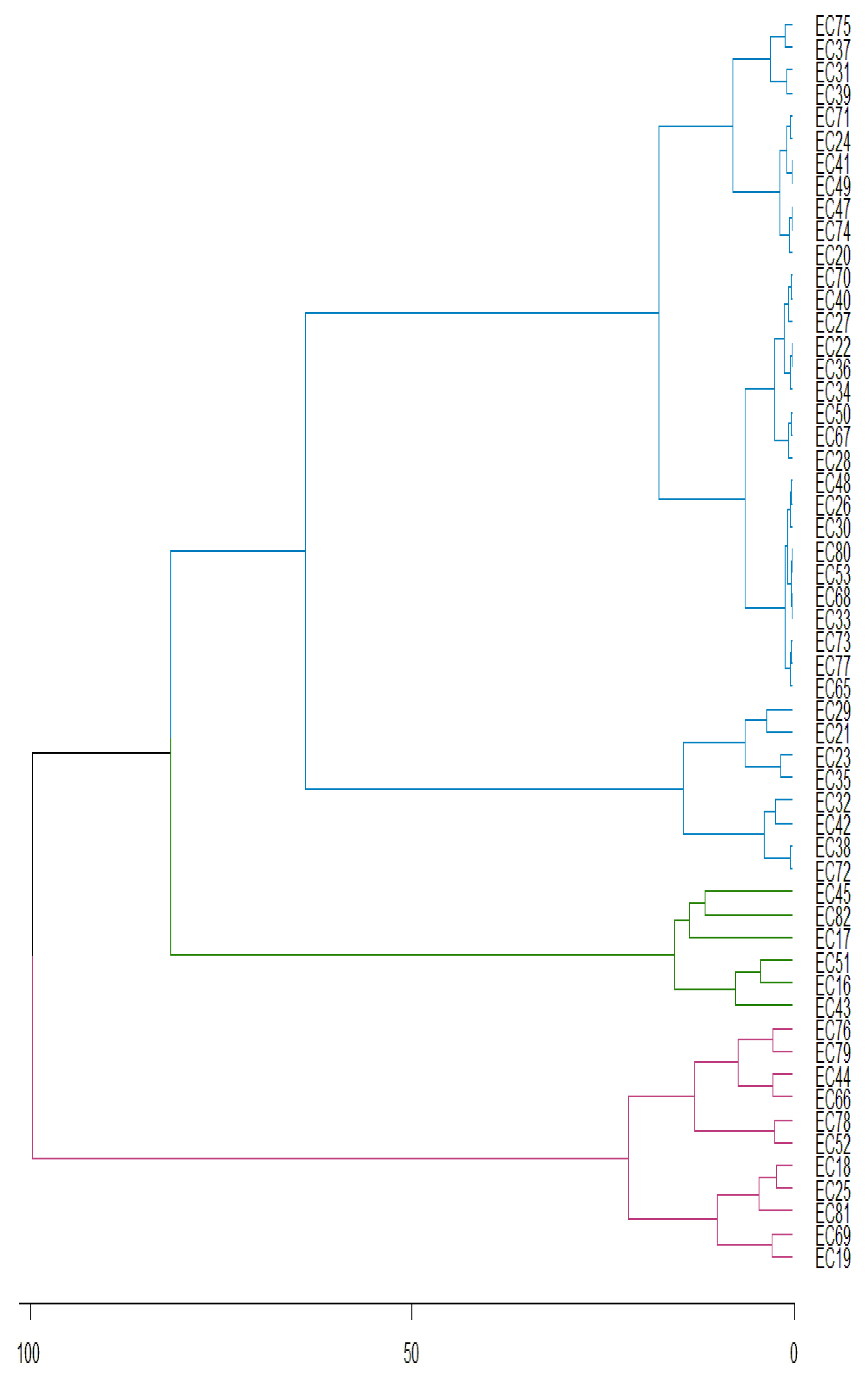 Forests 14 02411 g004