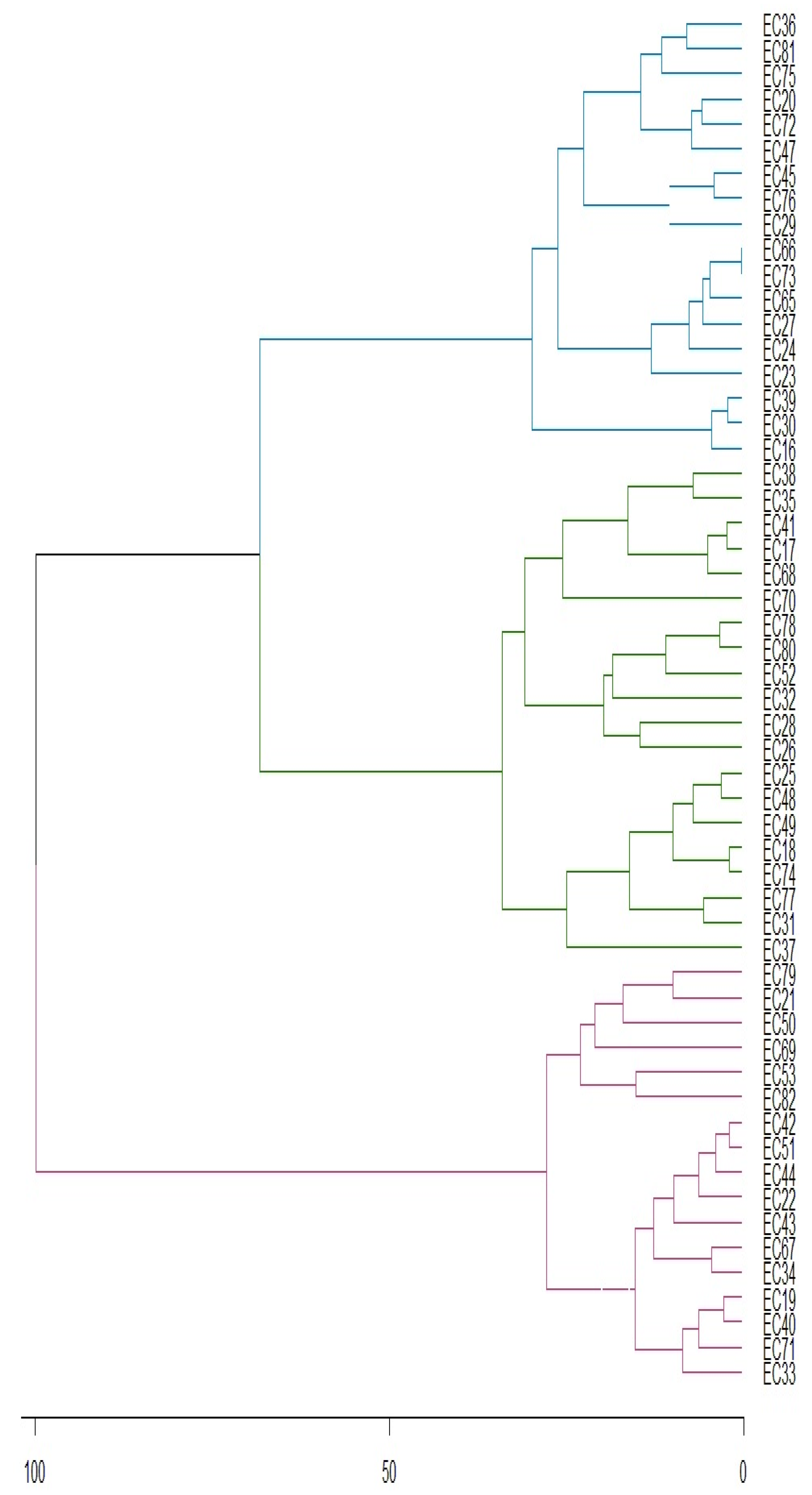 Forests 14 02411 g005