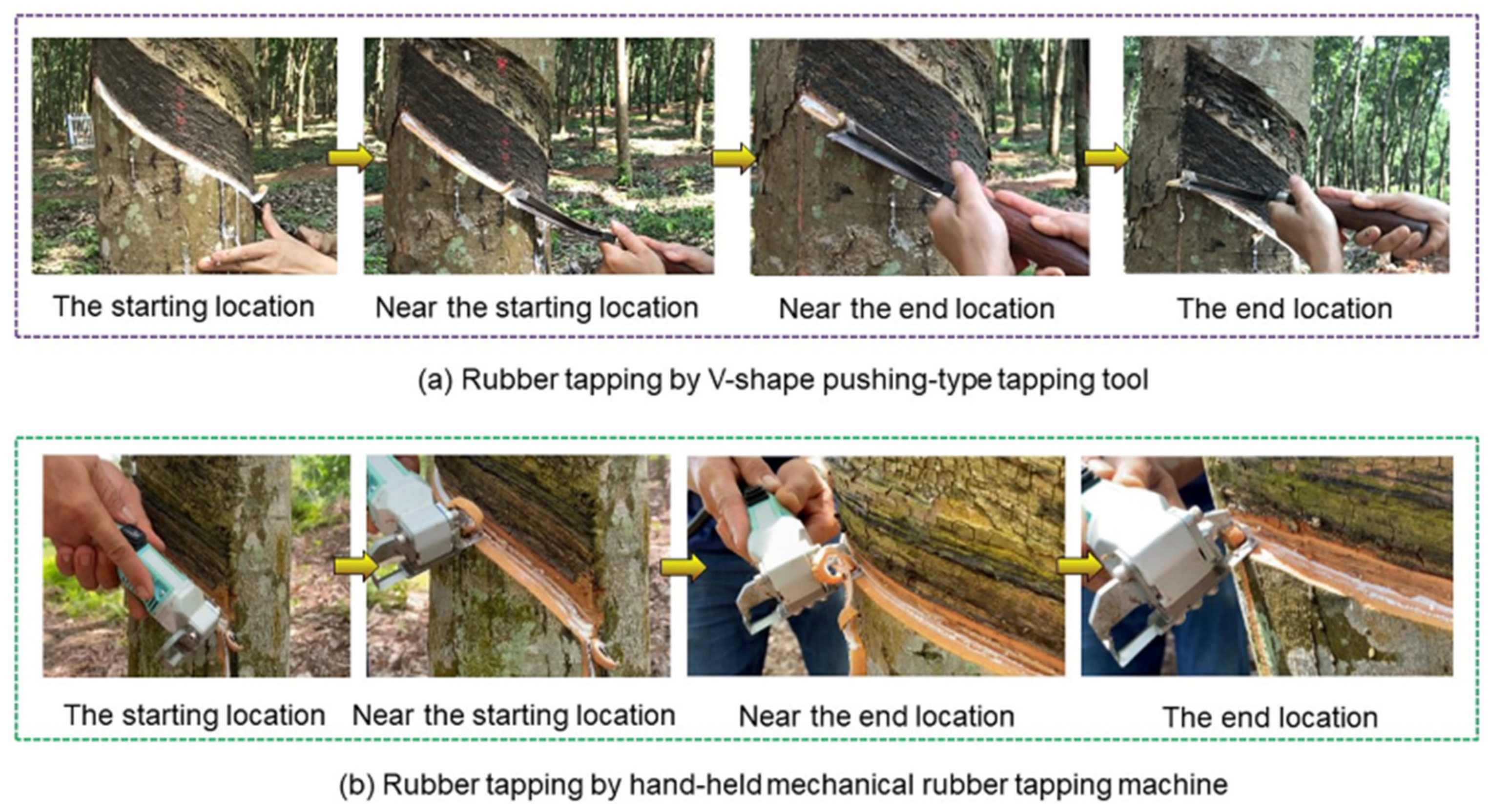 Forests 14 02421 g010