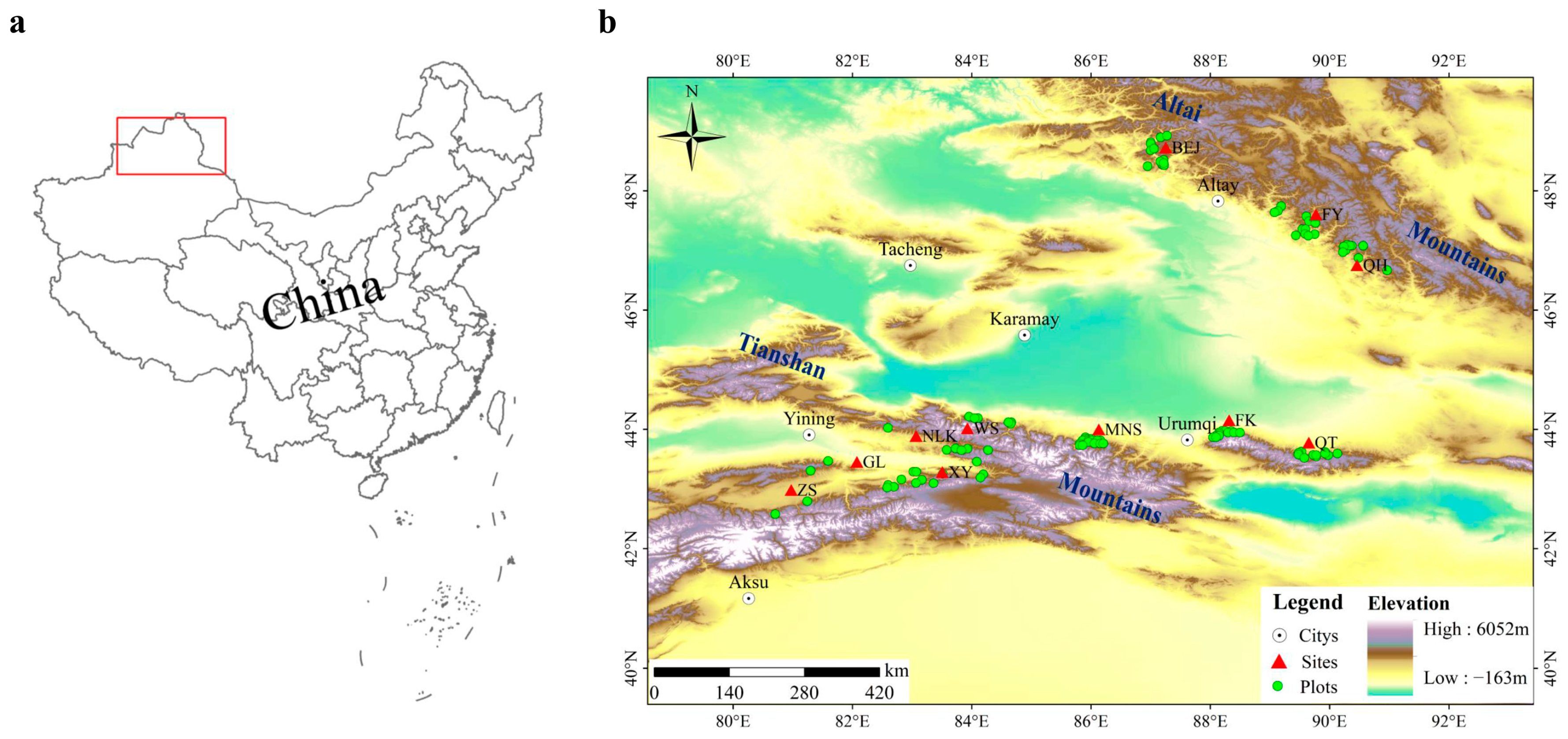 Forests 14 02426 g001