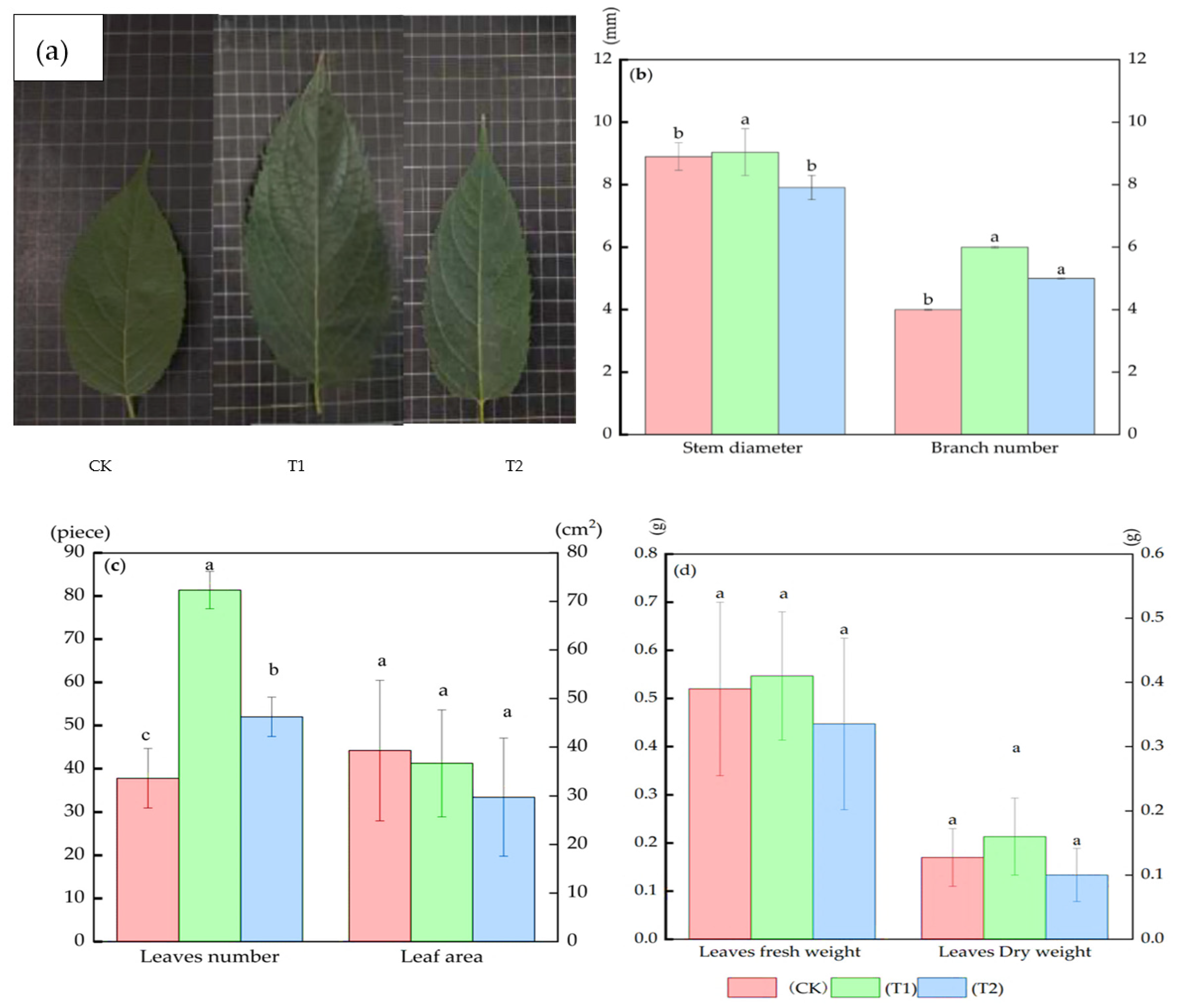 Forests 14 02439 g002