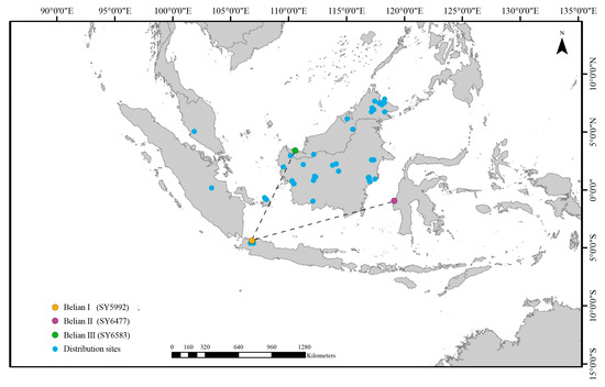 洋書 GENETIC CLASSIFICATION OF GLACIGENIC 洋書 GENETIC CLASSIFICATION OF GLACIGENIC fgene-10-00427