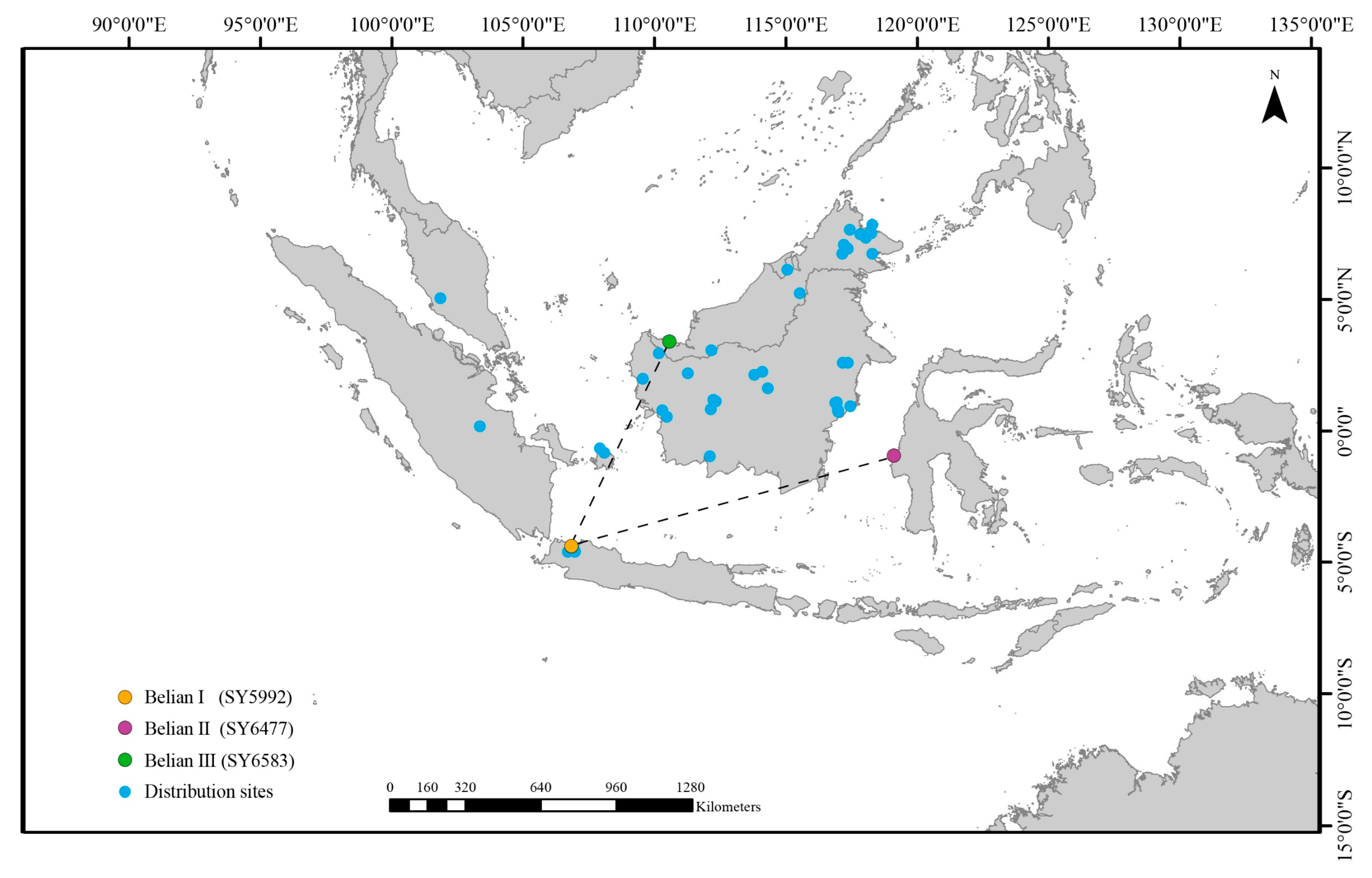 Forests 14 02443 g001
