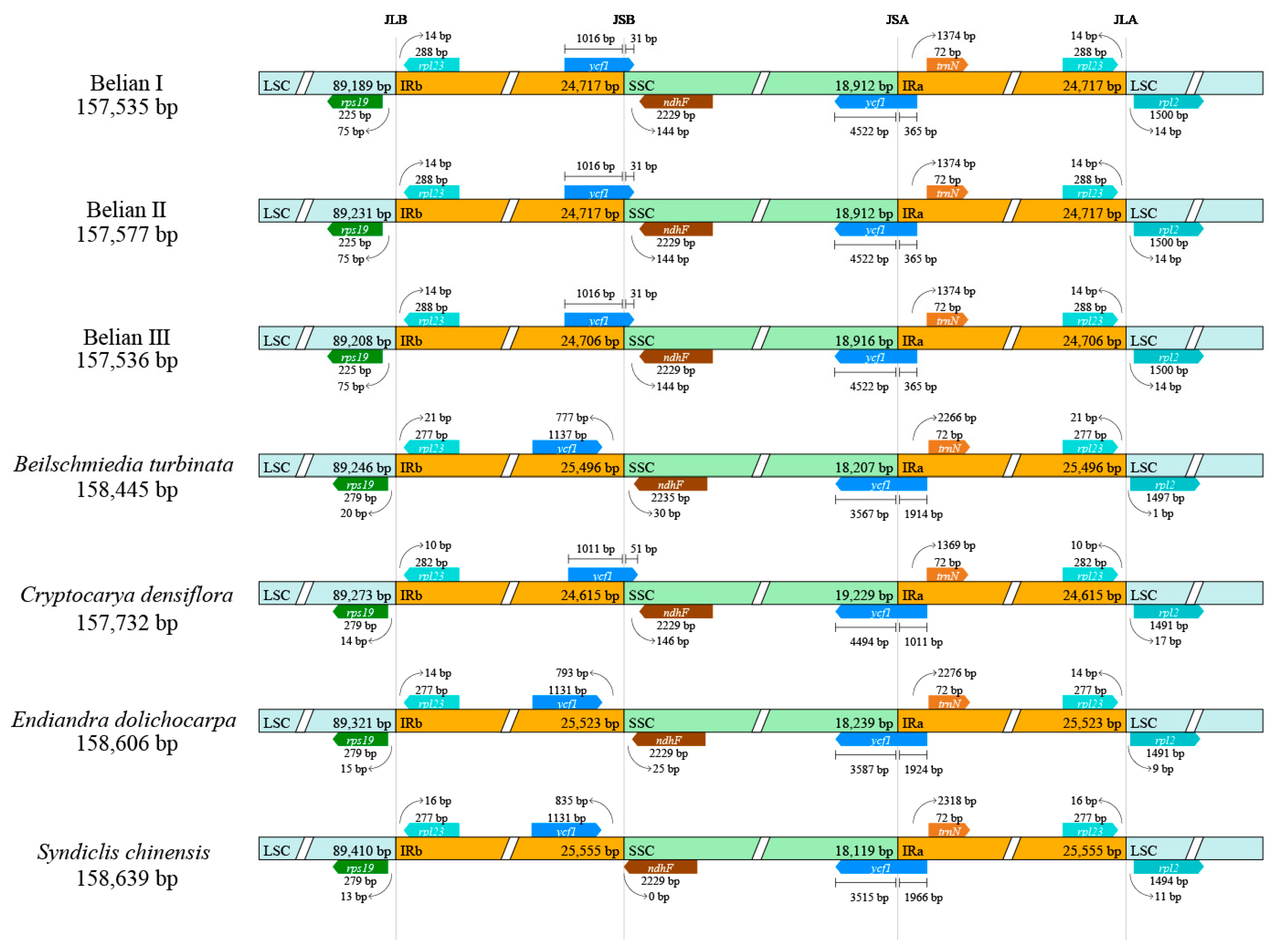 Forests 14 02443 g006