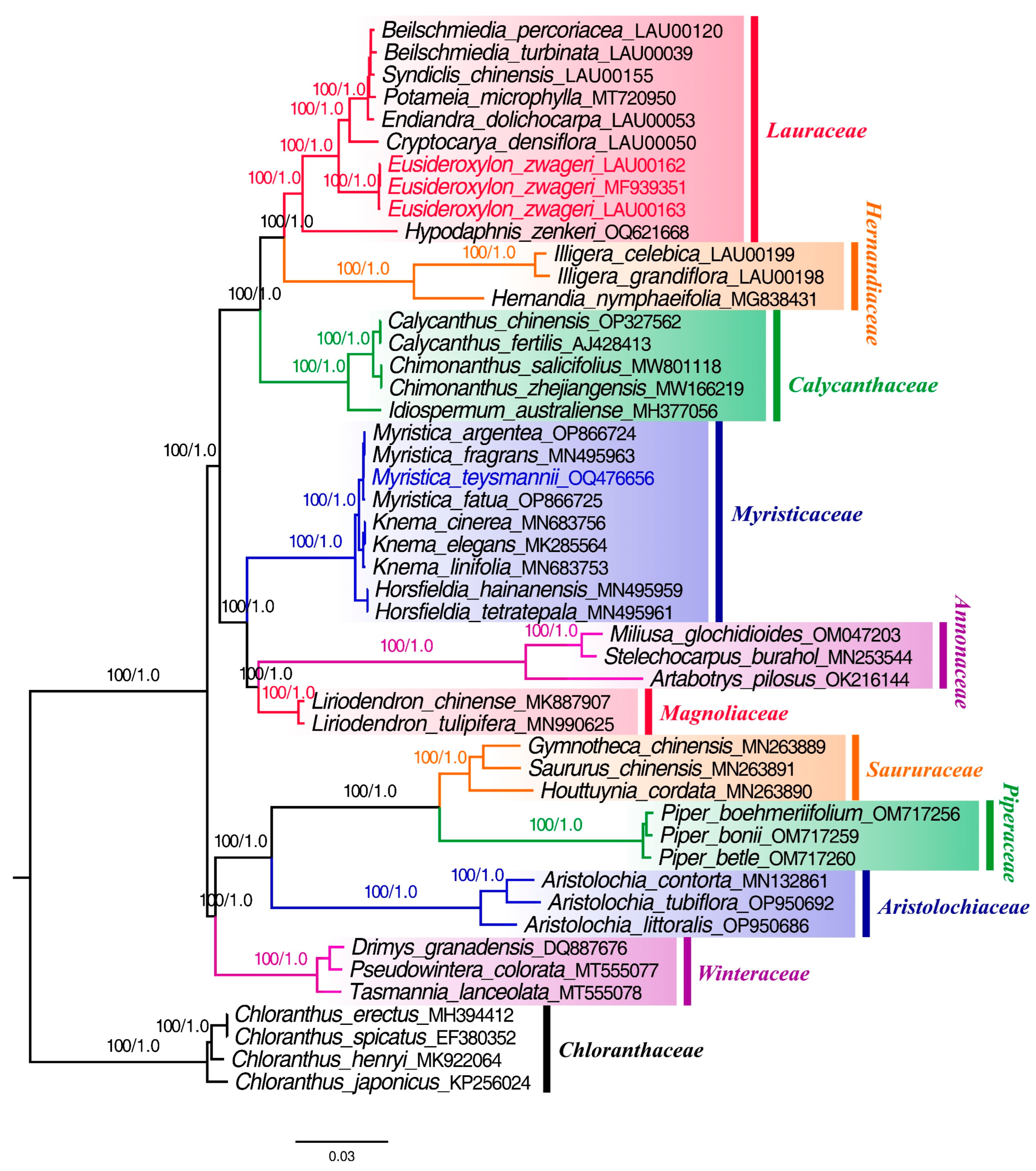 Forests 14 02443 g008