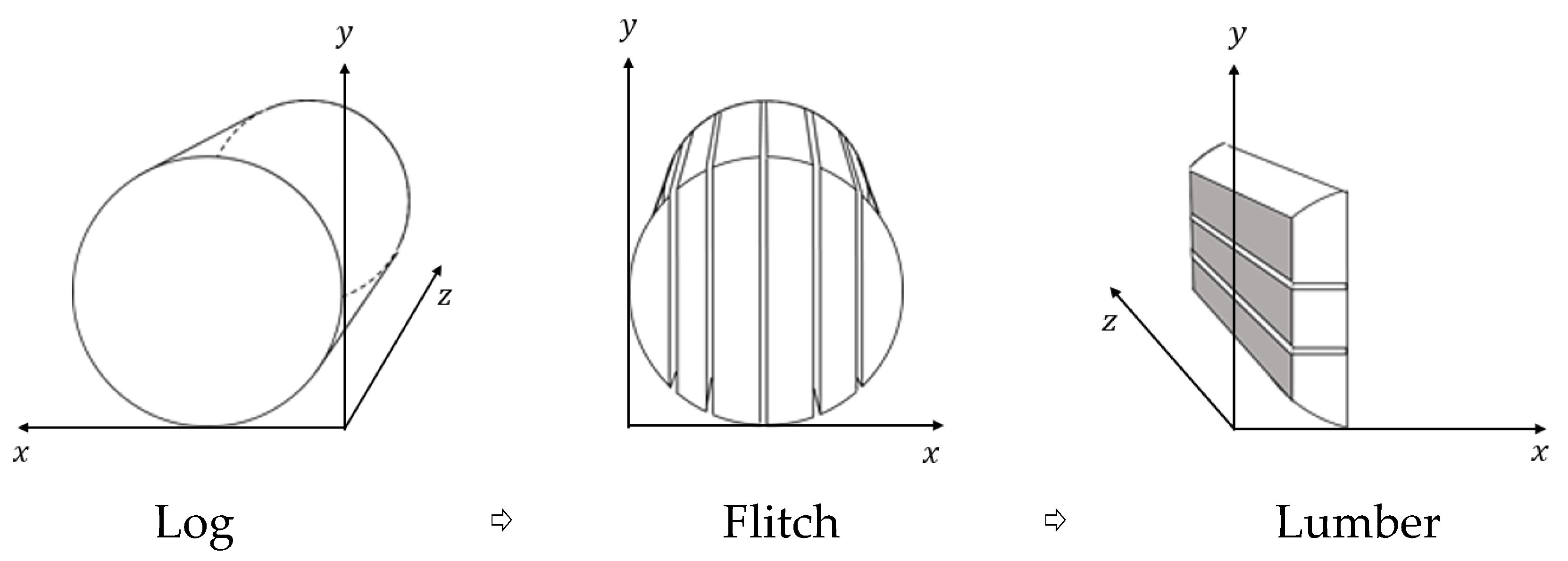 Forests 14 02450 g001 Forests 14 02450 g001