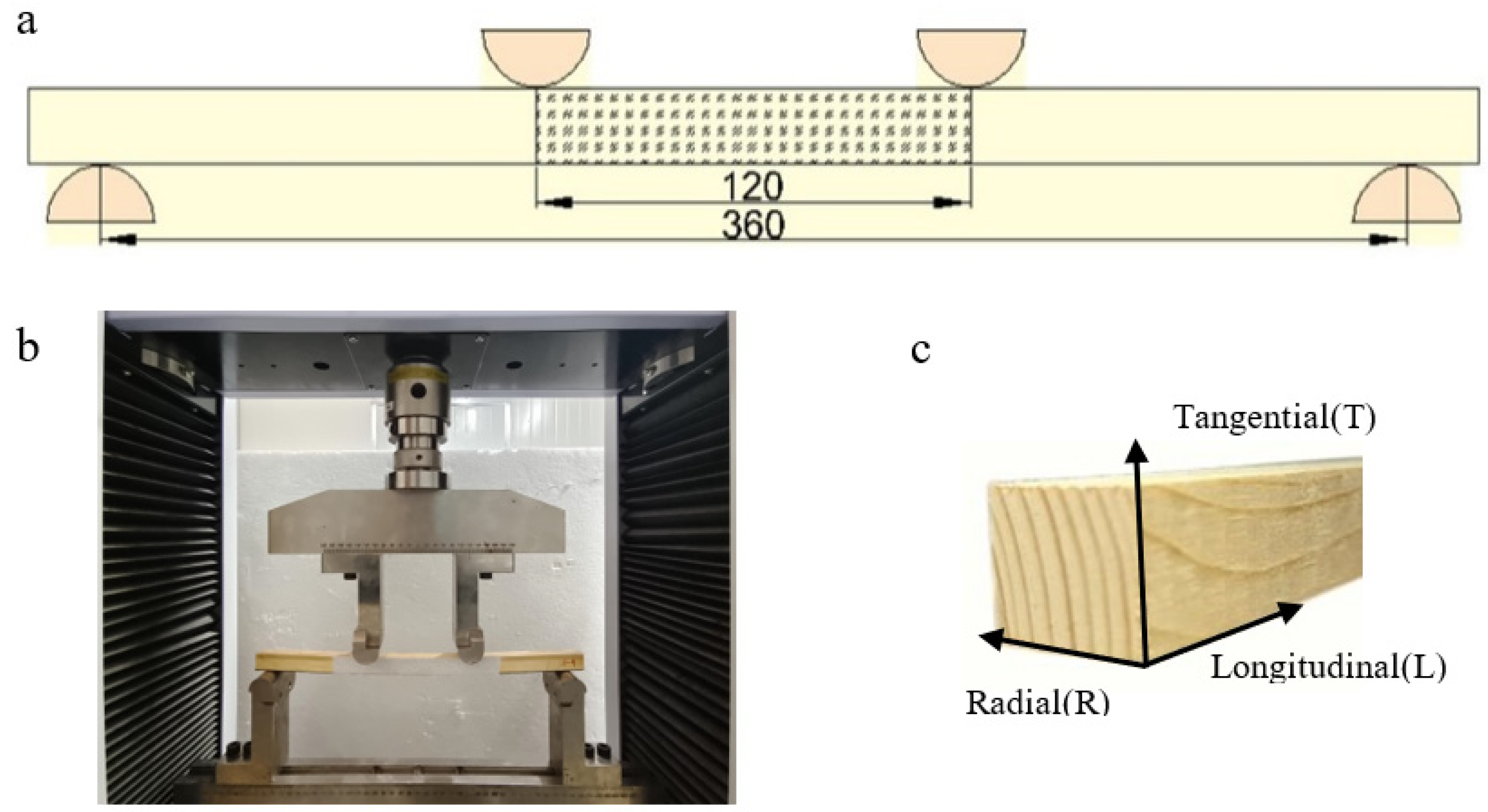 Forests 14 02454 g003